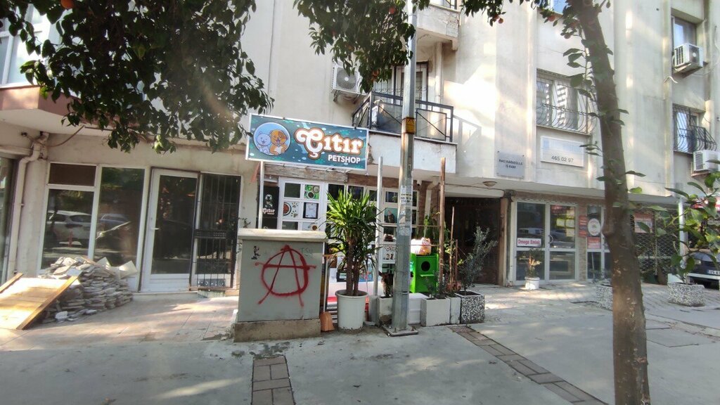 Pet shop Crispy, Izmir, photo