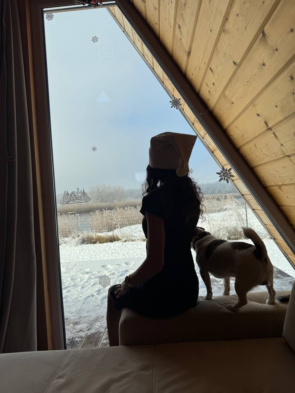 Фото Река лес