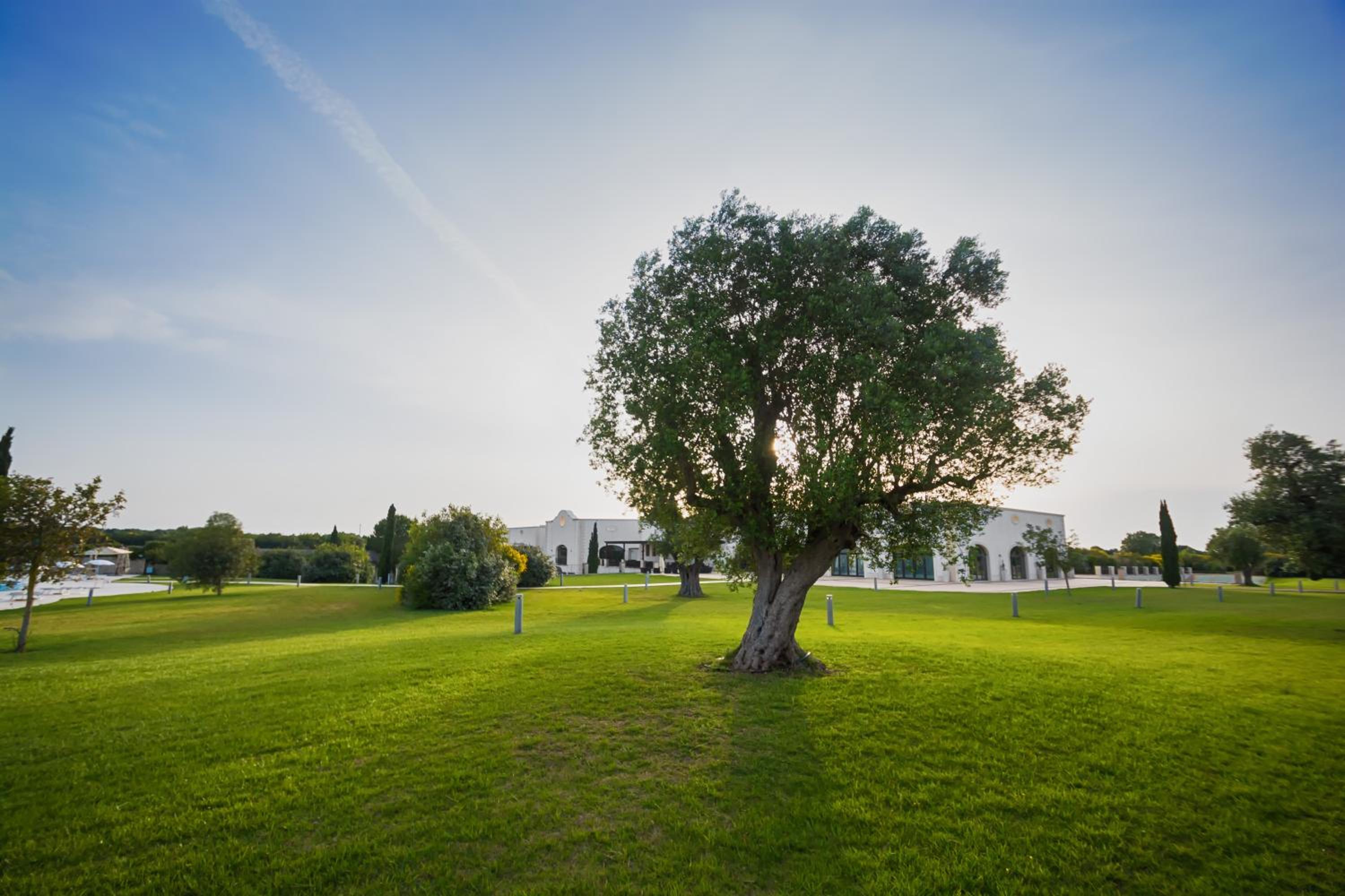 Фото Acaya Golf Resort & SPA