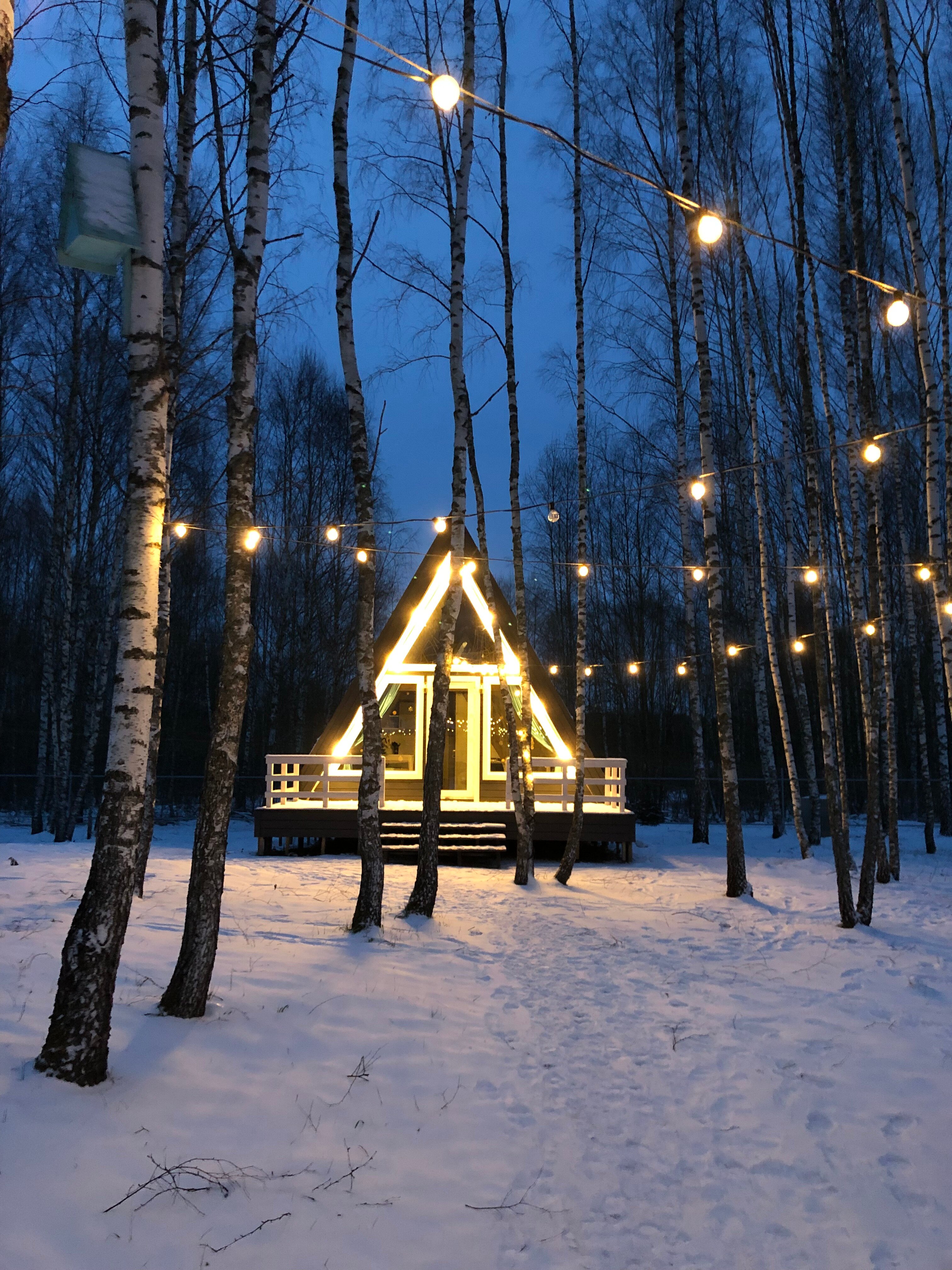 Фото Каникулы