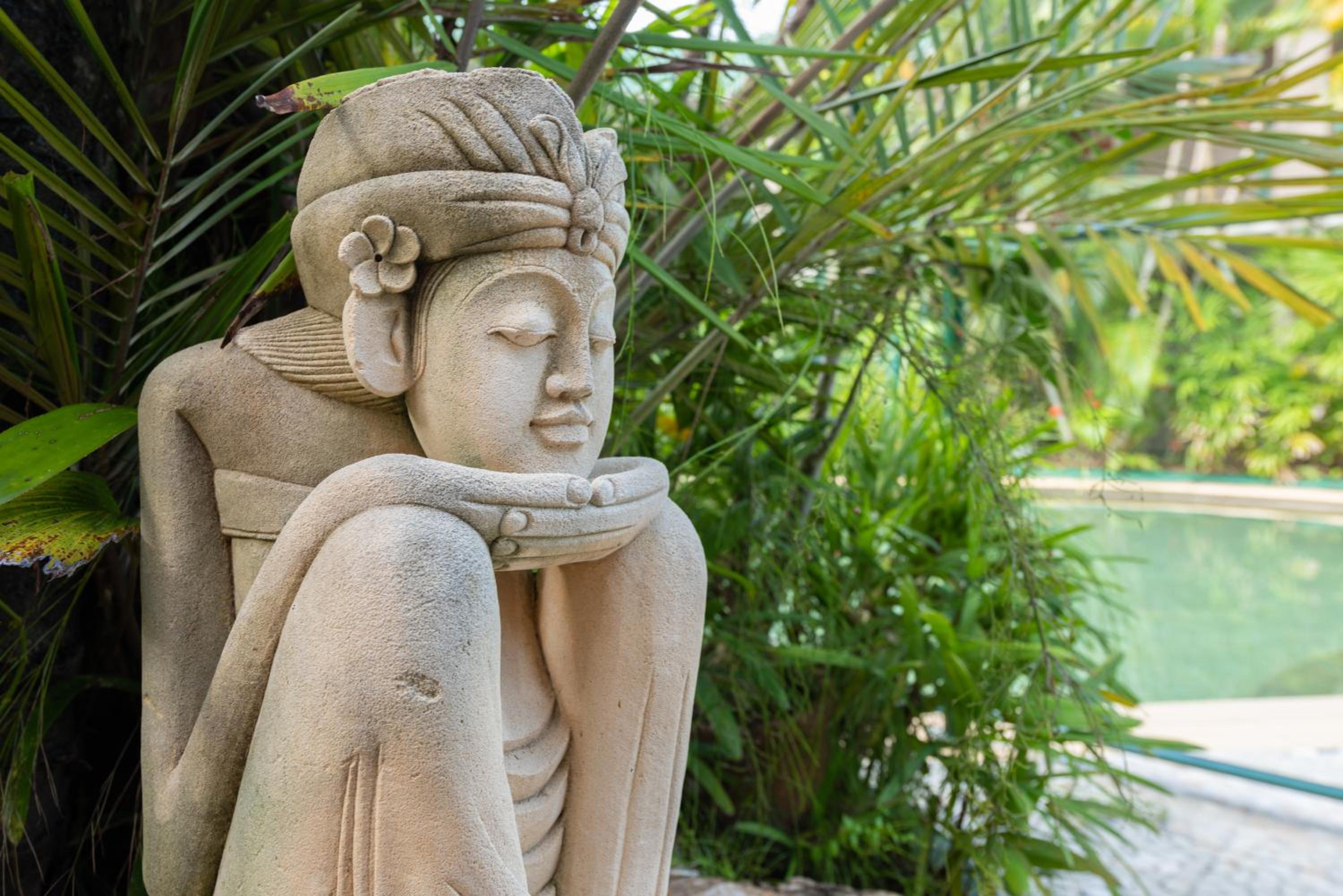 Фото Bay Village Tropical Retreat & Apartments