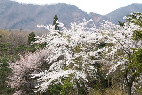 Гостиница Matsukaneya Annex в Префектуре Ямагата