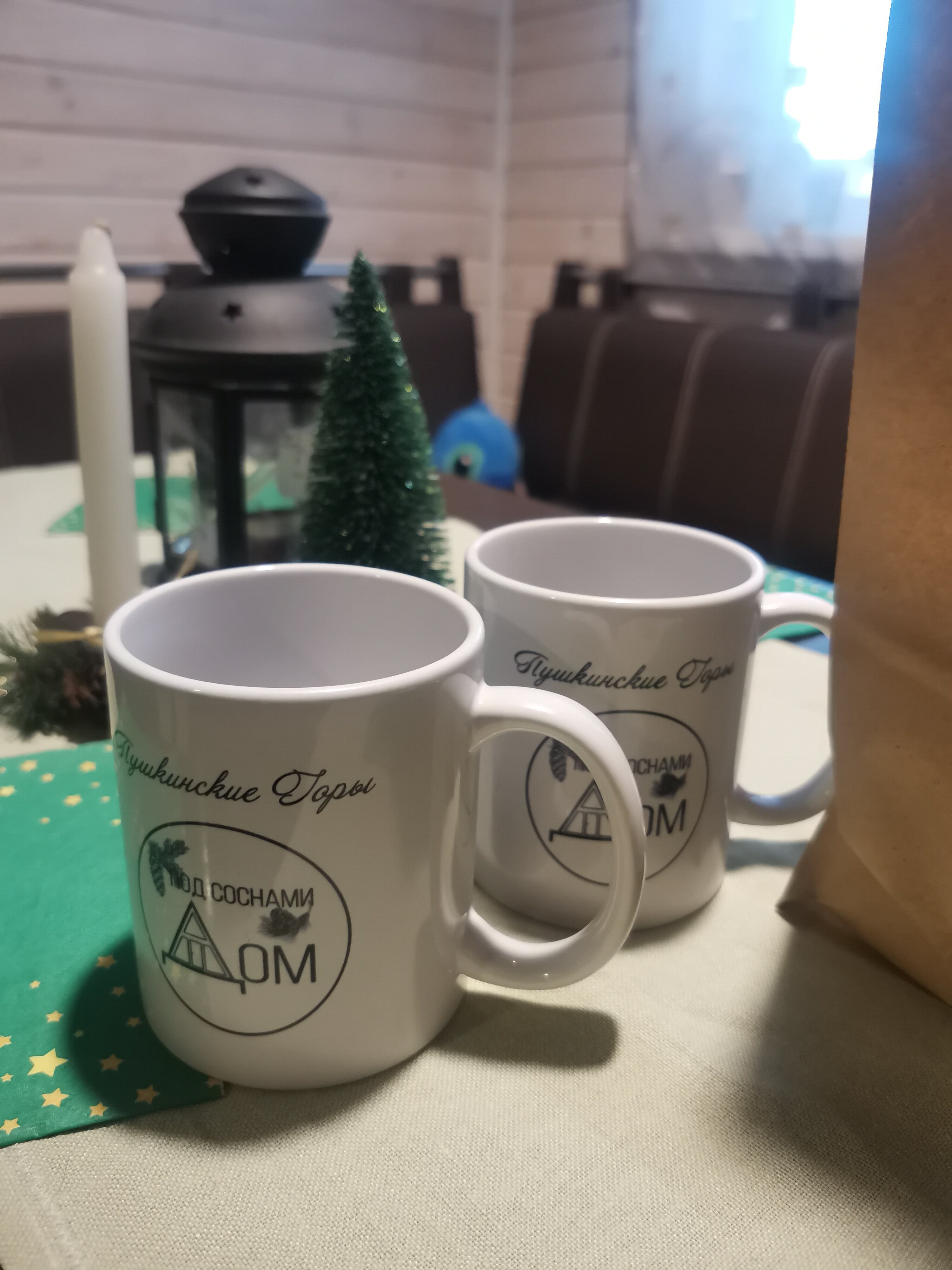 Фото Дом под соснами