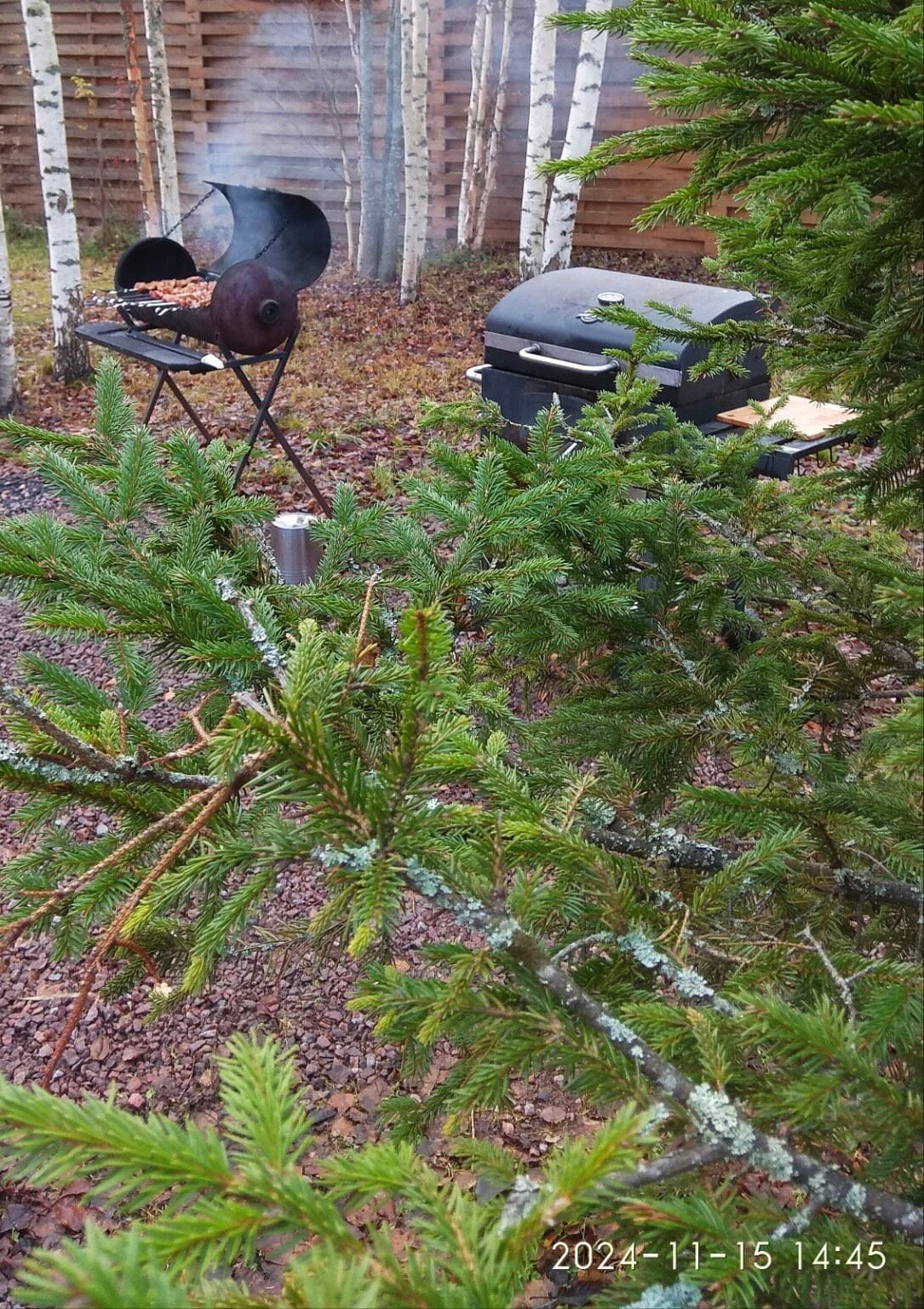 Фото Берлога люкс