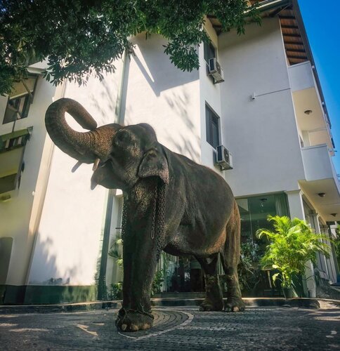 Внешний вид отеля Hotel Yo в Канди, фото 2