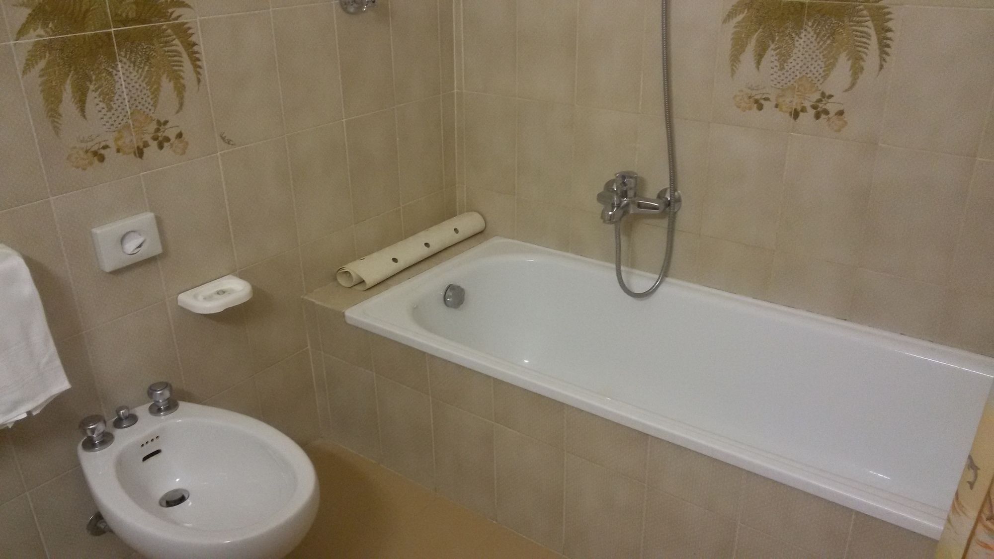 Фото Hotel Villa Ricci