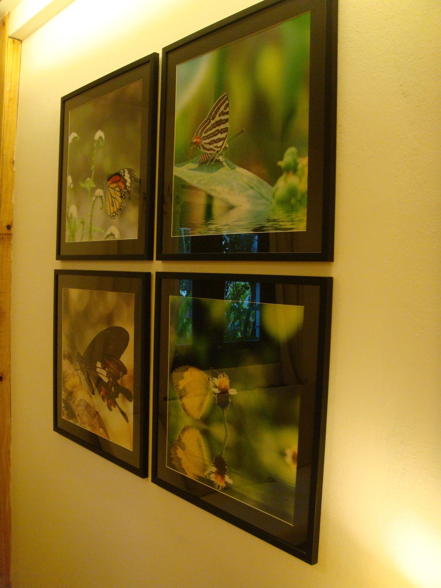 Фото Amara Resort Hua Hin