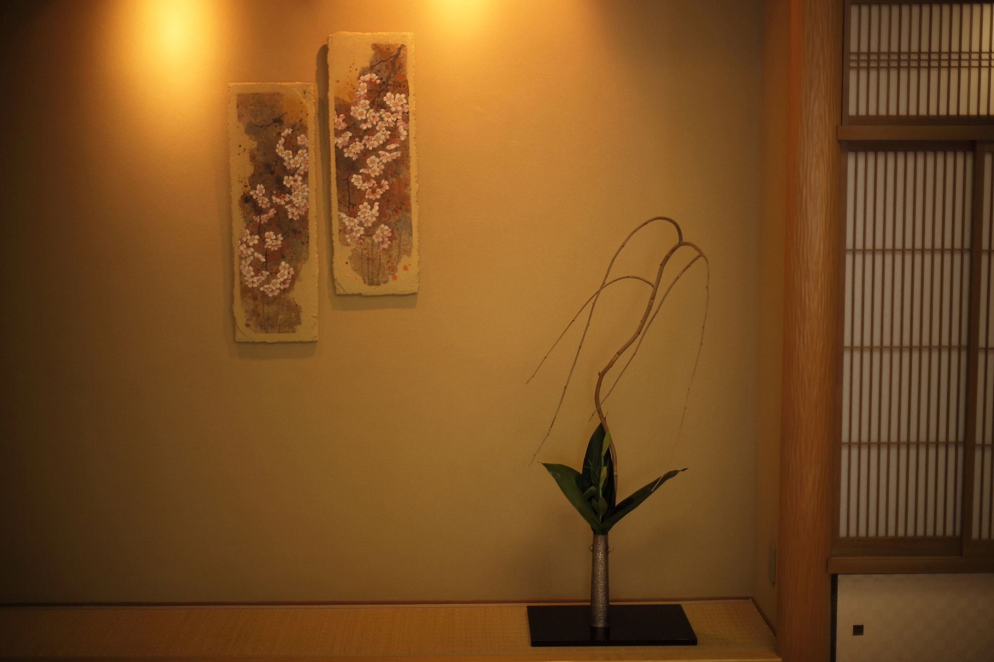 Фото Kagoshima Sunamushi Onsen Ibusuki Hakusuikan