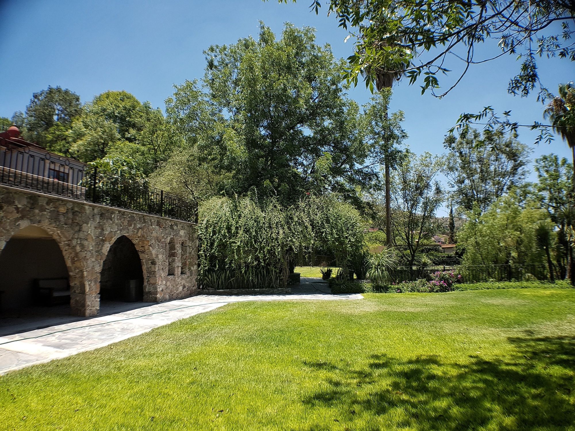 Фото 37870440053