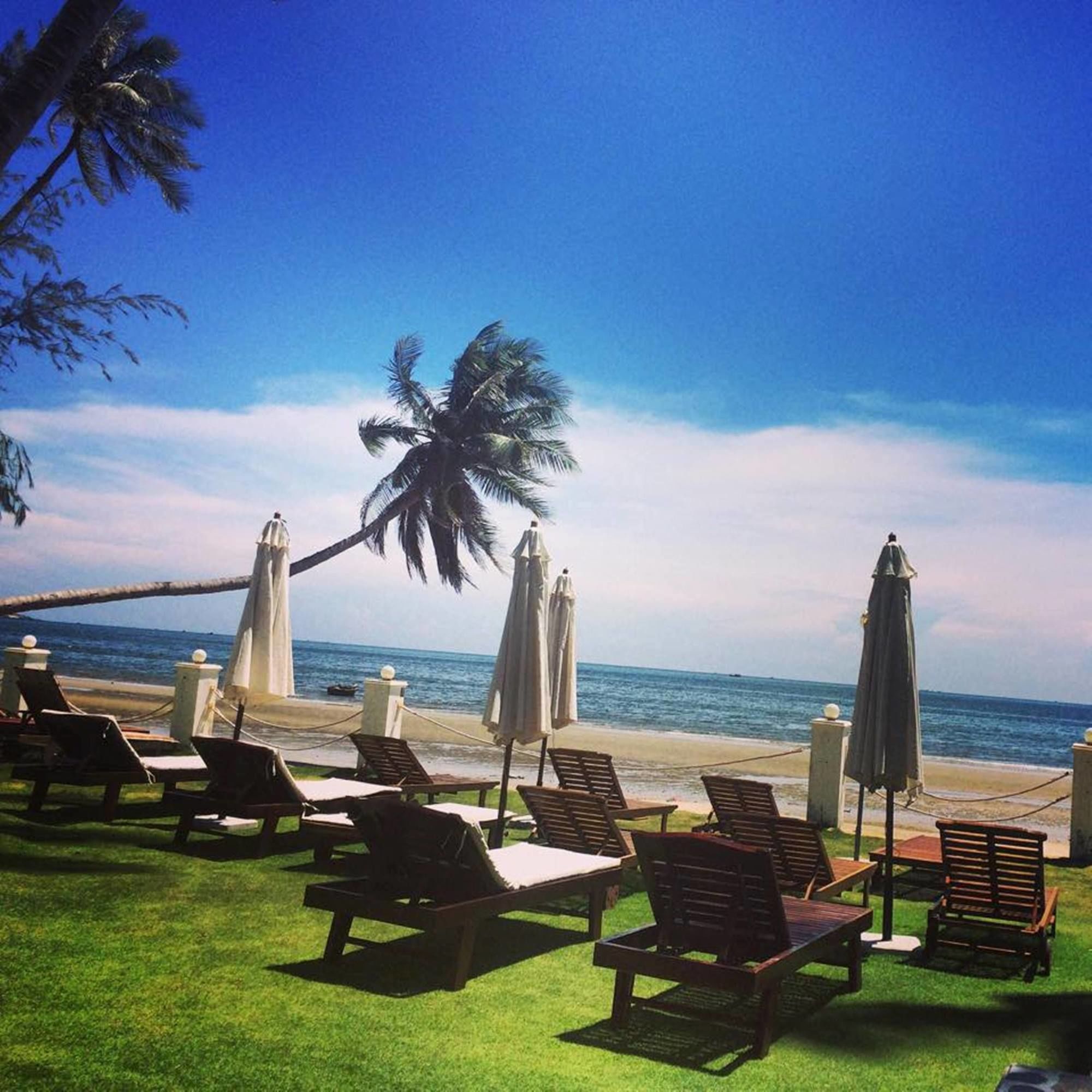 Фото Surf4You Residence