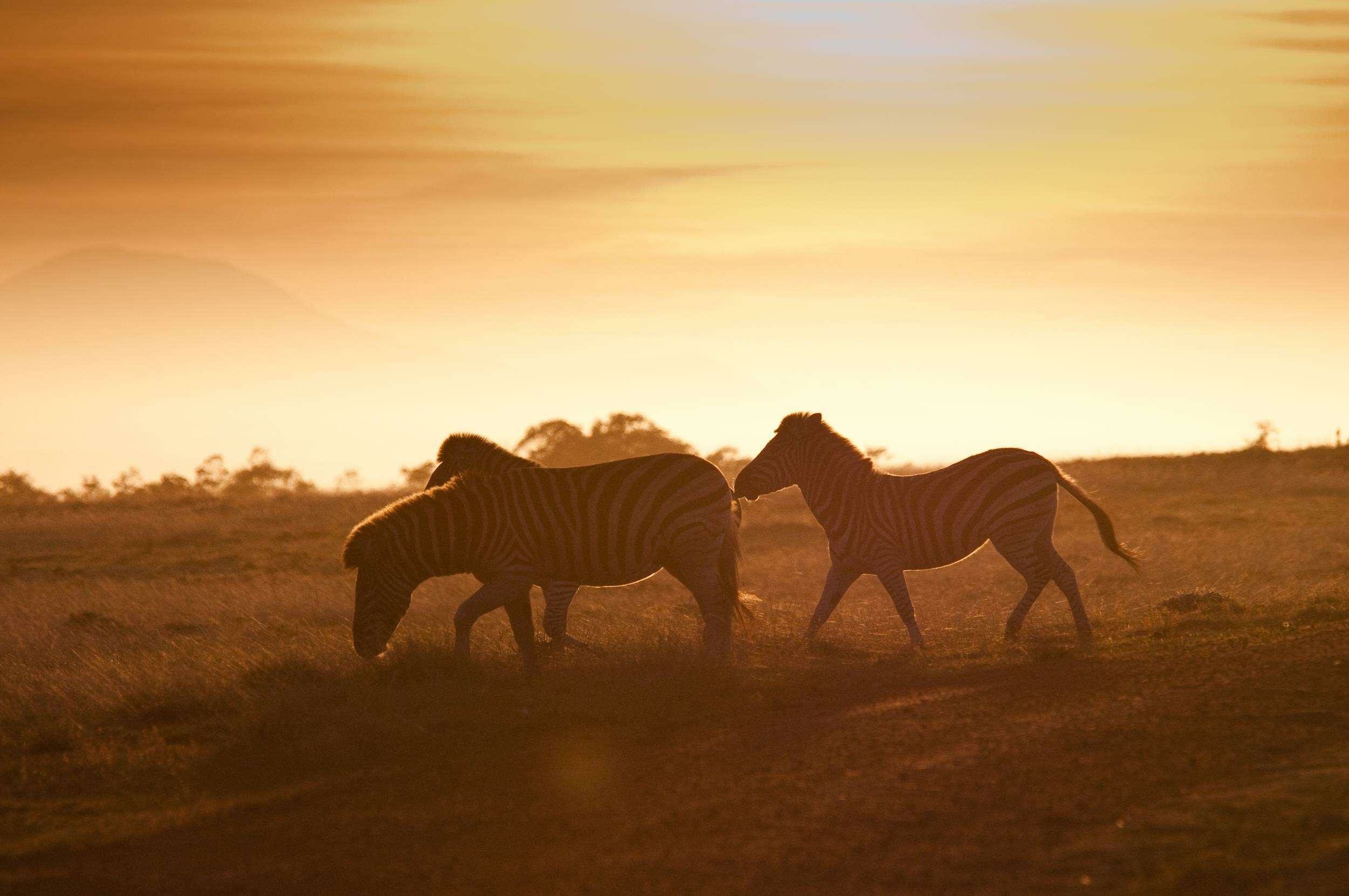 Фото Gondwana Private Game Reserve