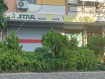 Star Dogs Cats Veterinary Clinic (İzmir, Anadolu Cad., 319), veterinary clinic