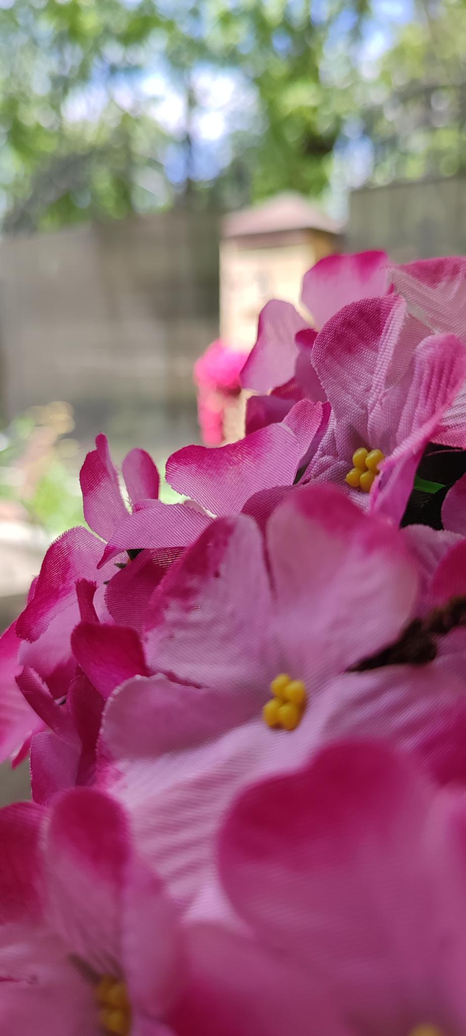 Фото Эко Хаус