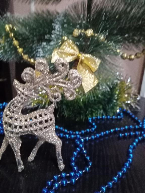 Фото Абрикос