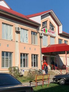 Стебли