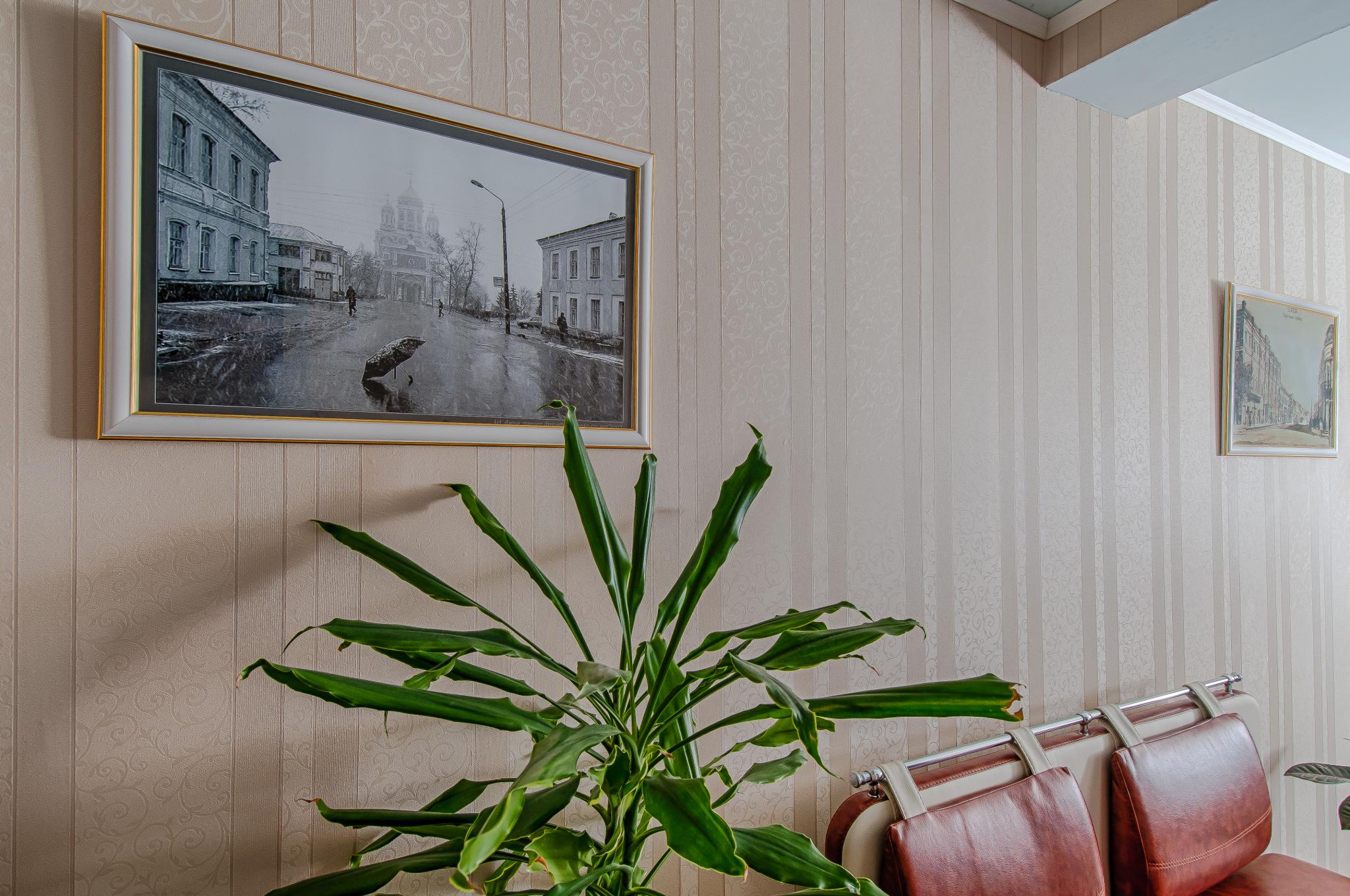 Фото Базилик