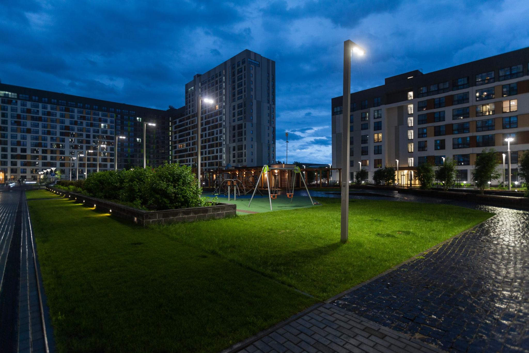 Фото Брусника