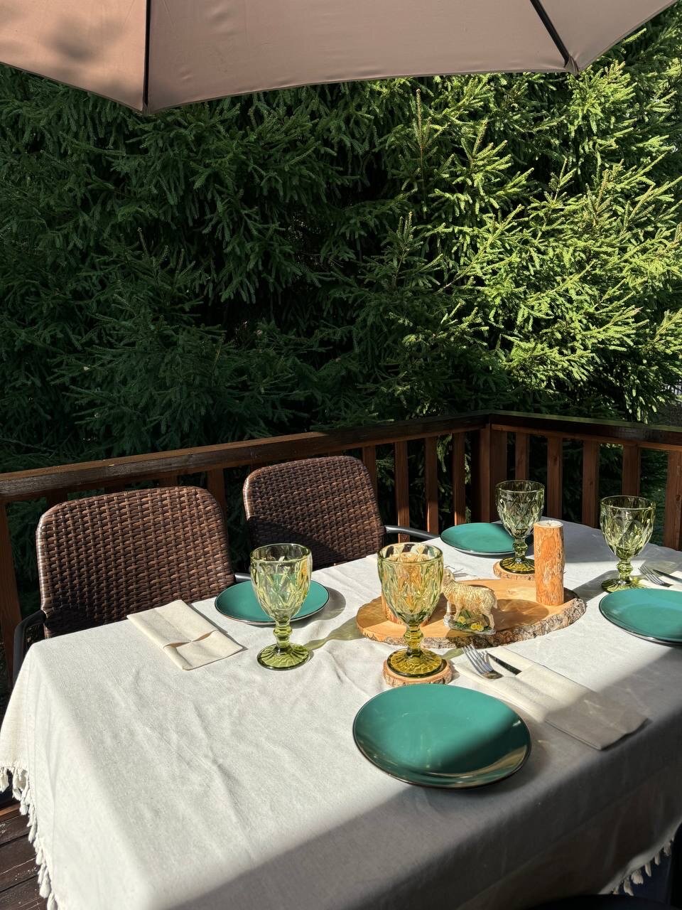 Фото Дом и Елки