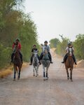 Winners Equestrian Club (7, Mushrif Park Street, Mushraif, Dubai), horse riding