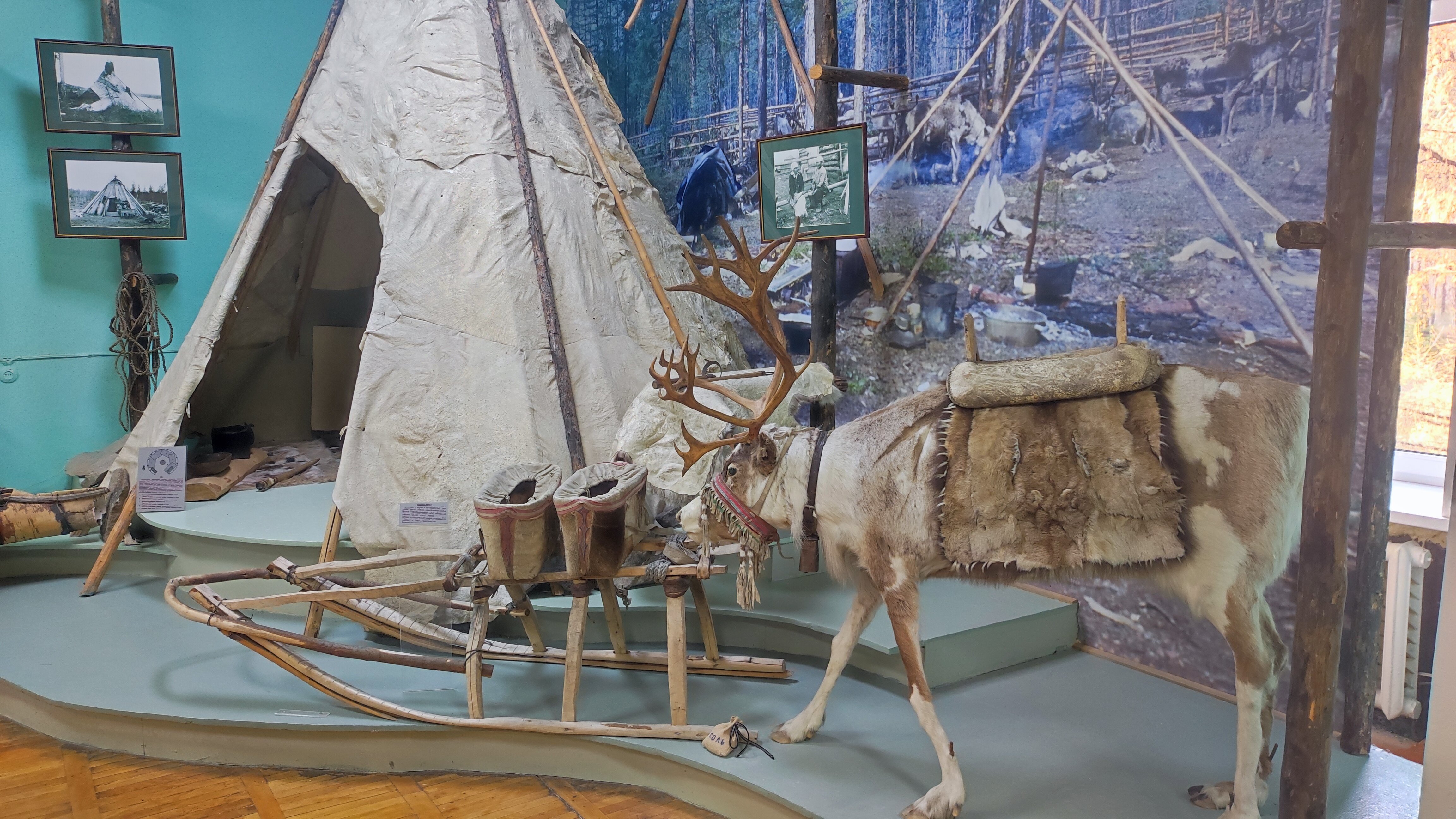 Фото Тимптон