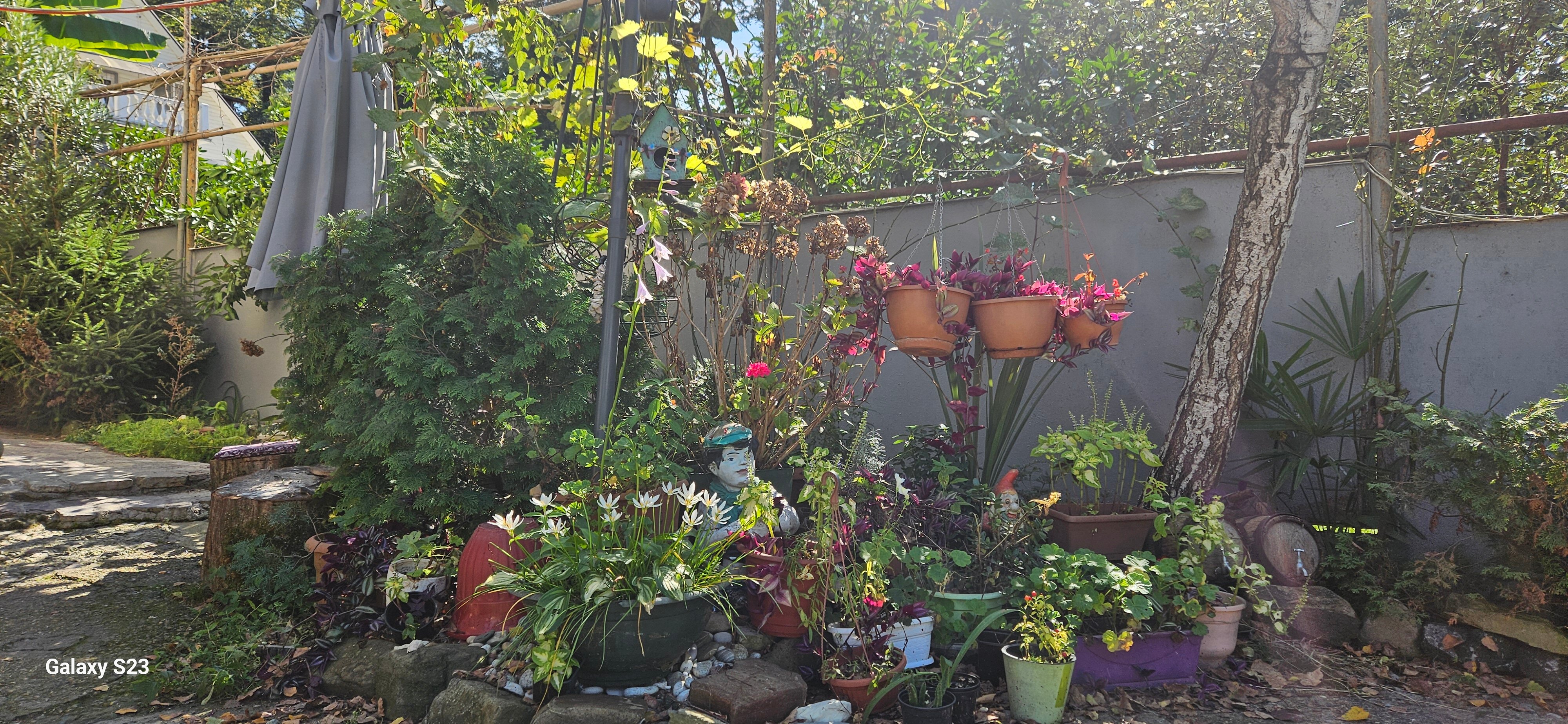 Фото Тихий дворик