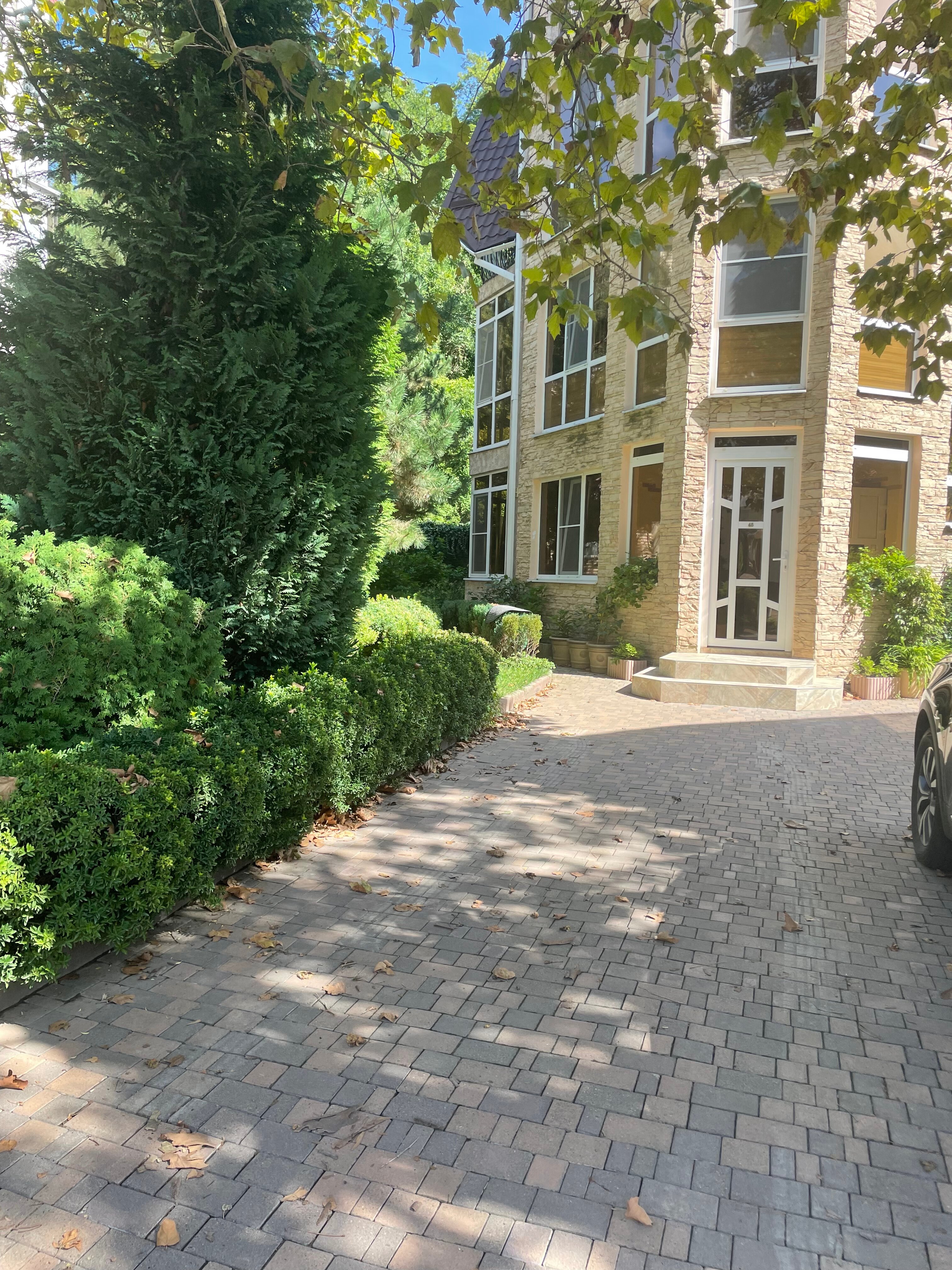 Фото Розмарин