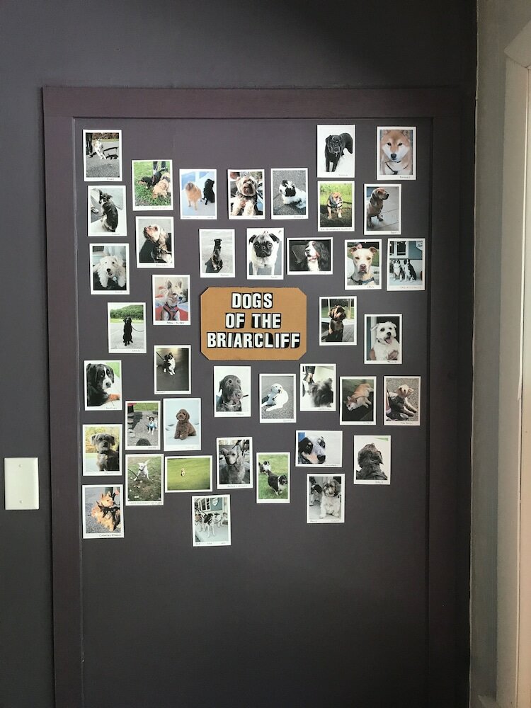 Фото The Briarcliff Motel