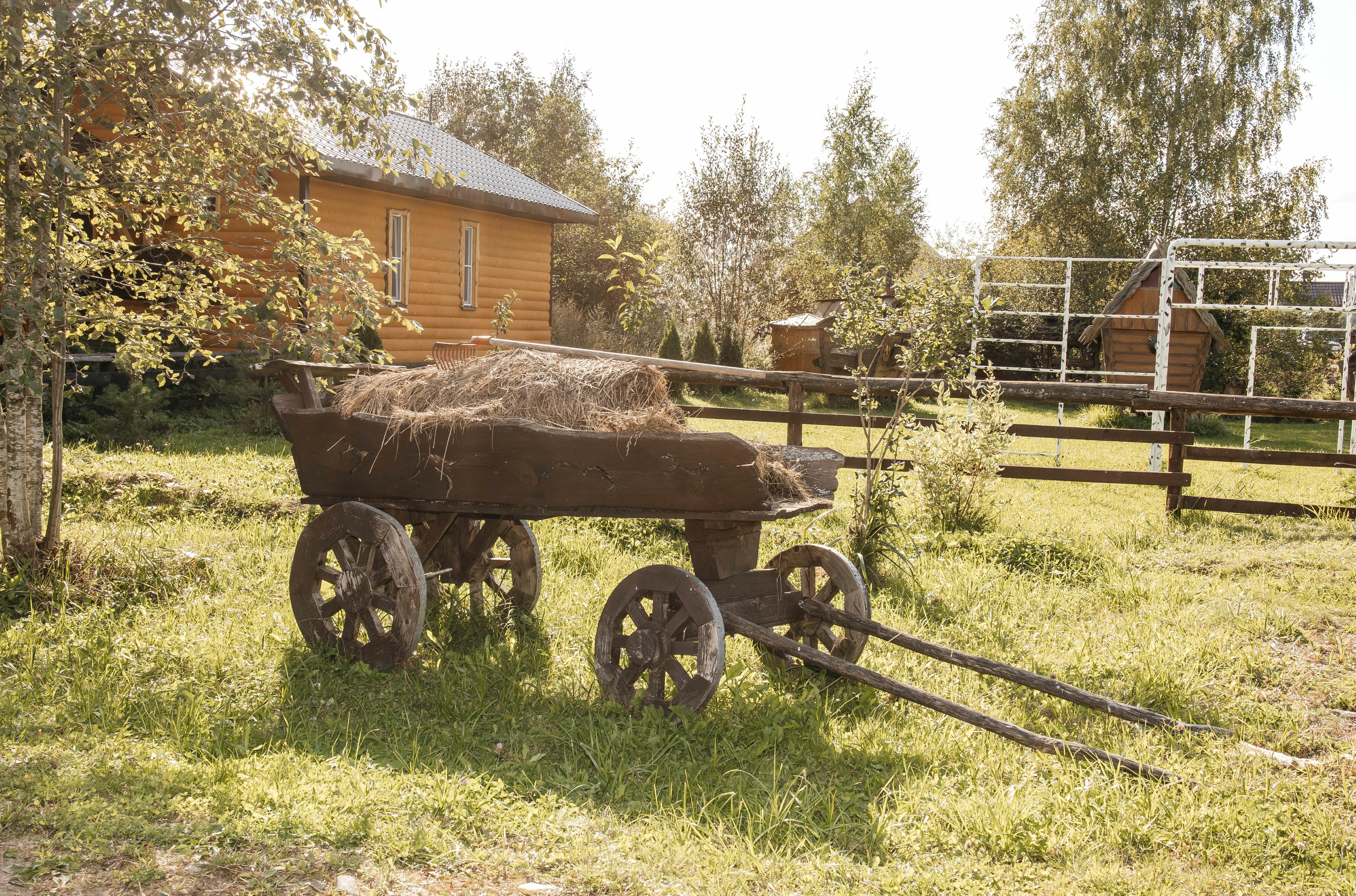 Фото Русская усадьба