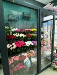 ArtBuket (Dinskaya stanitsa, ulitsa Chapayeva, 81), flower shop