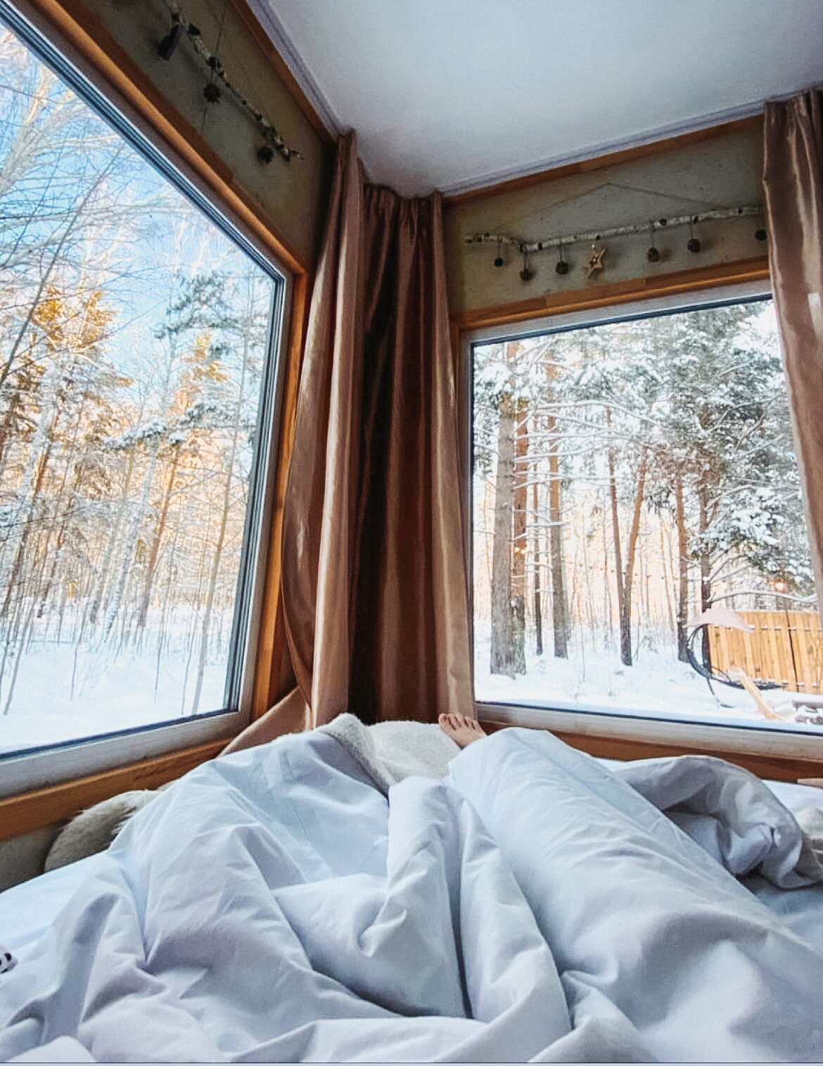 Фото Энергия леса