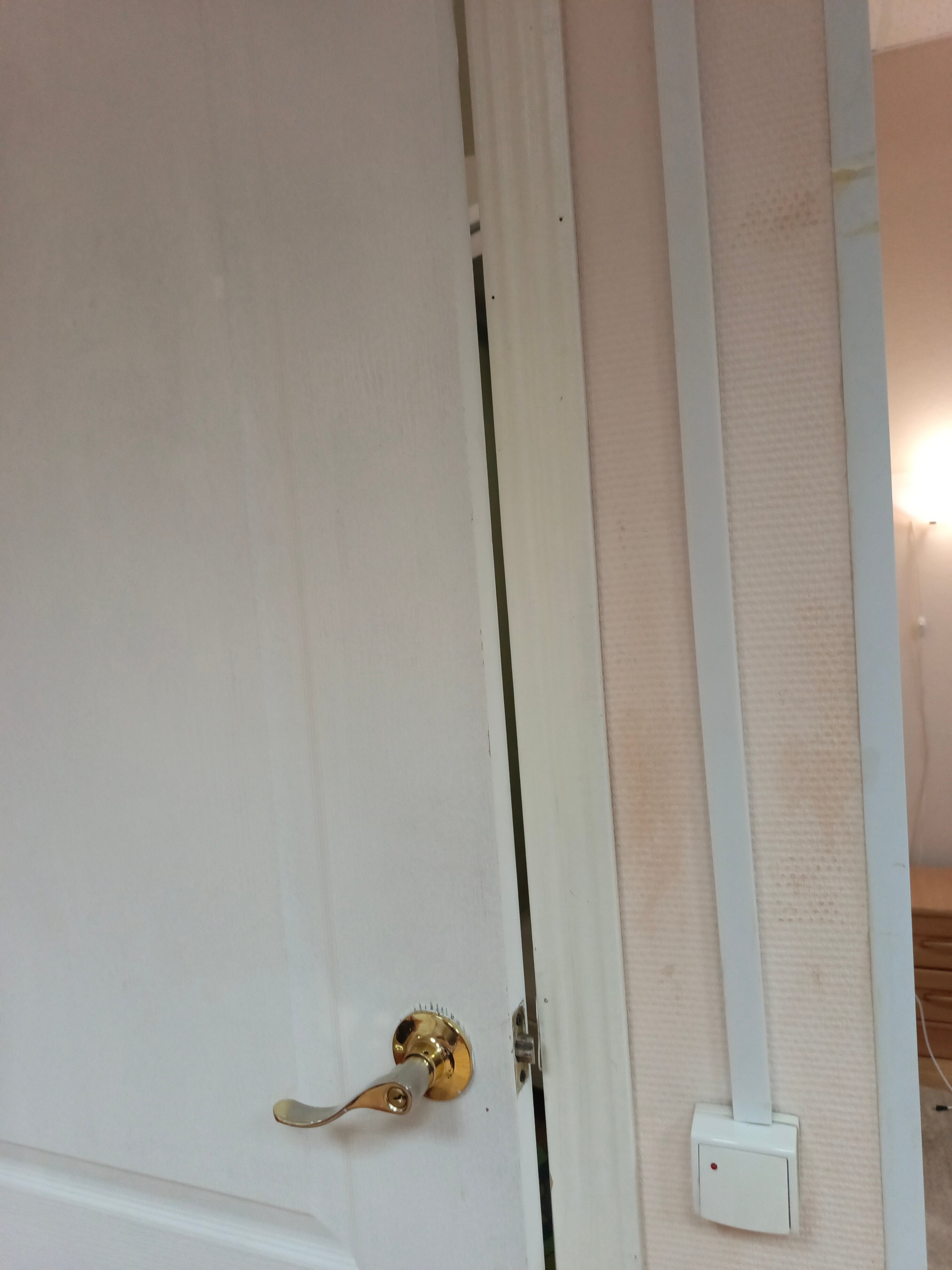 Фото Цезарь