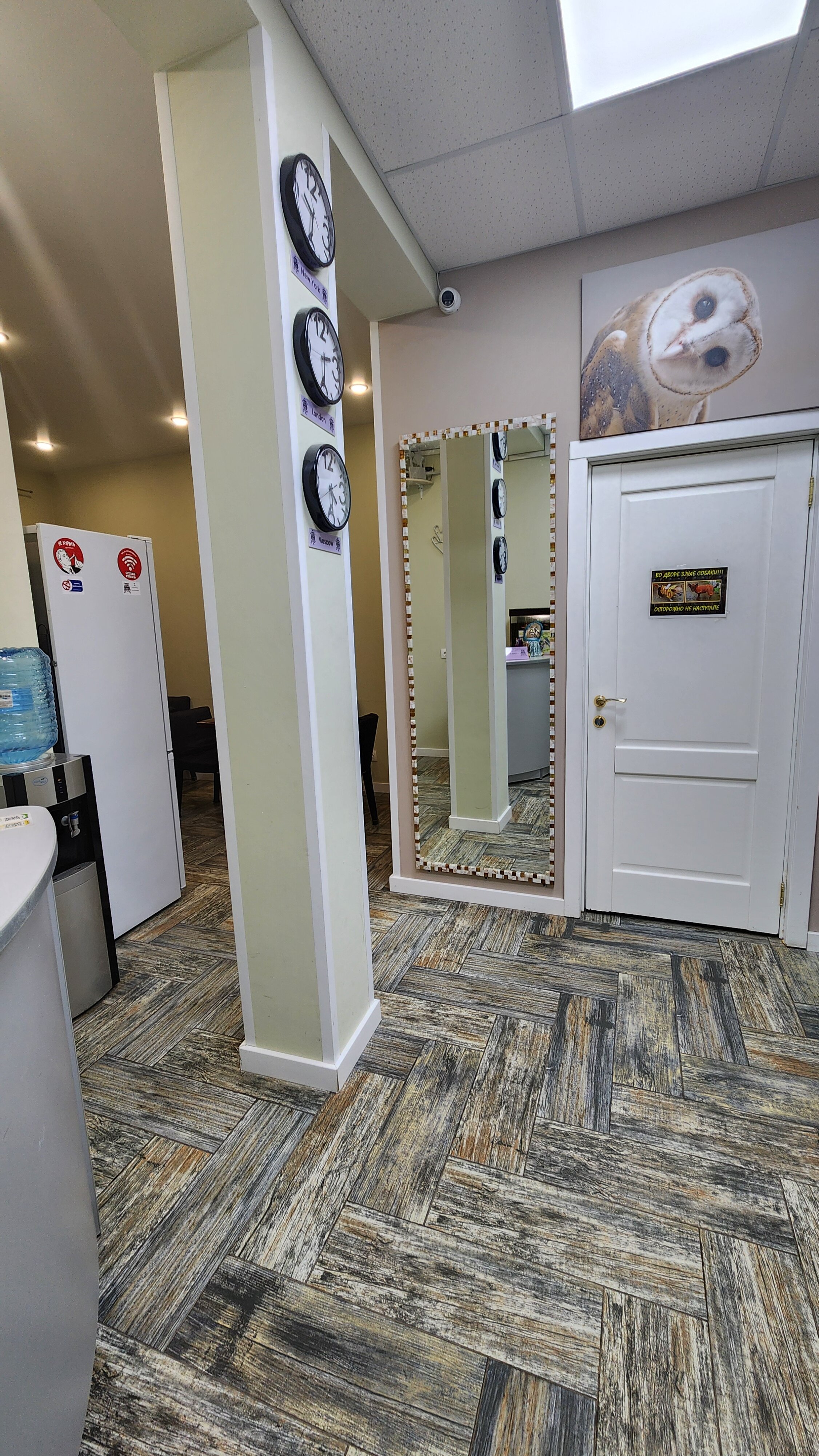 Фото Сова в Шереметьево