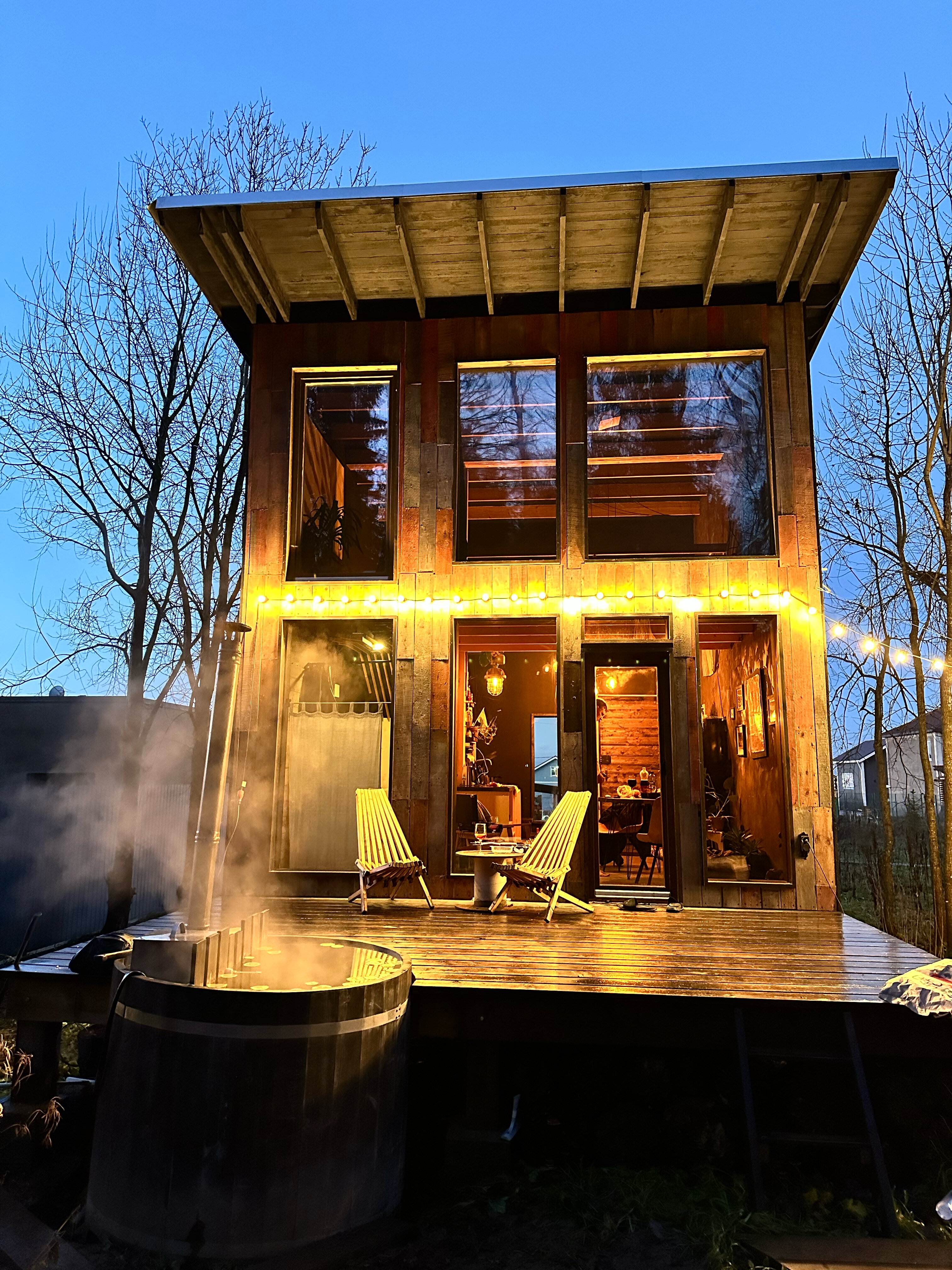 Фото Дзен в лесу