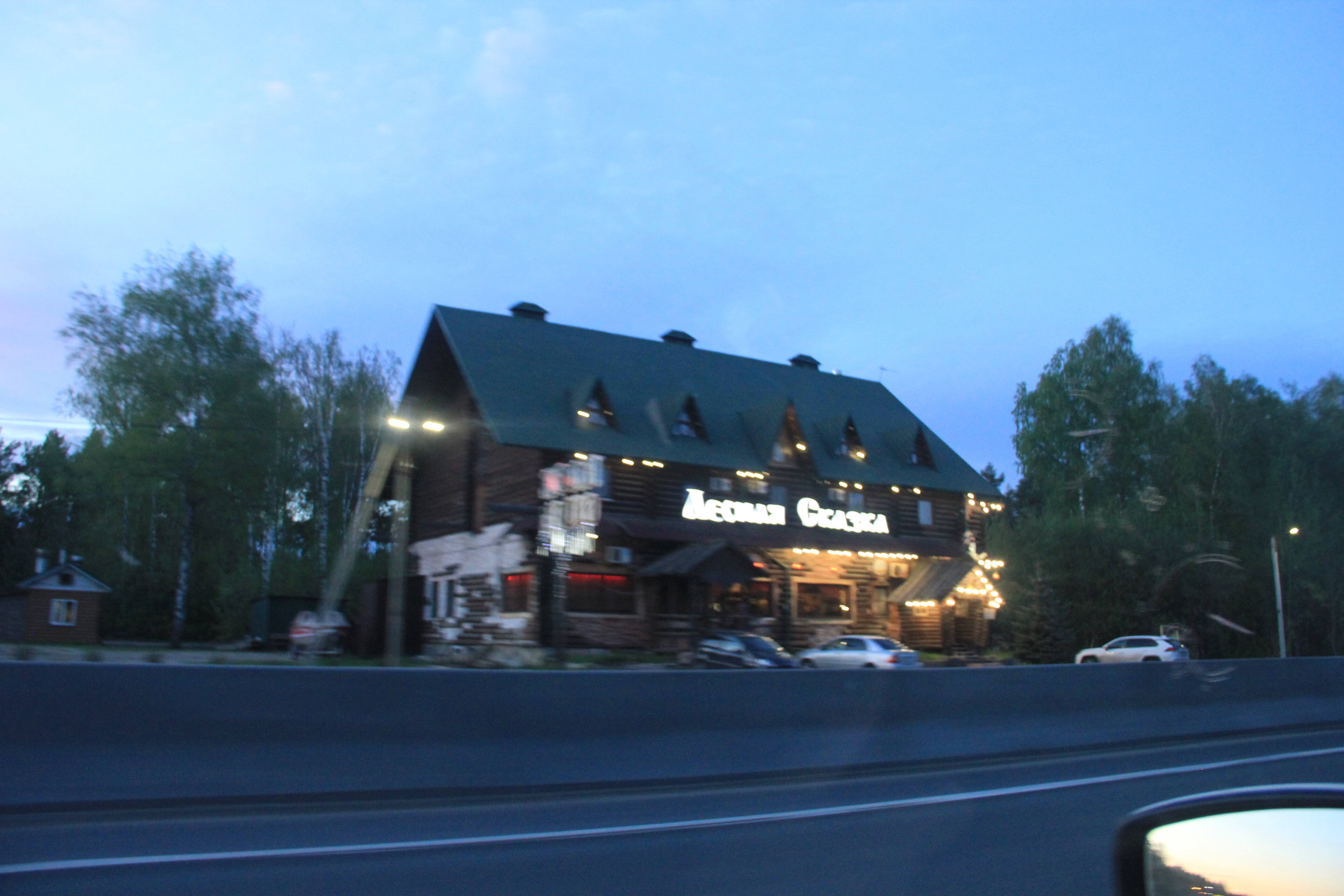 Фото Лесная сказка