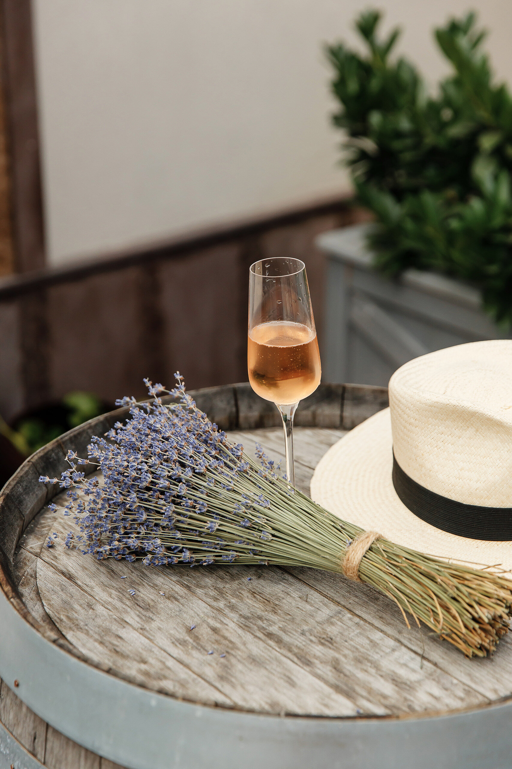 Фото Гринпарк