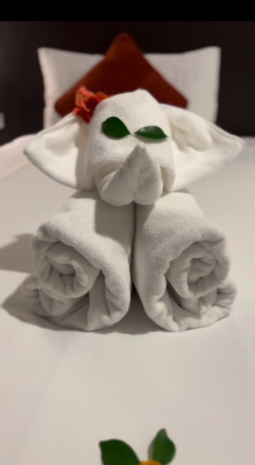 Фото Kata Garden Resort