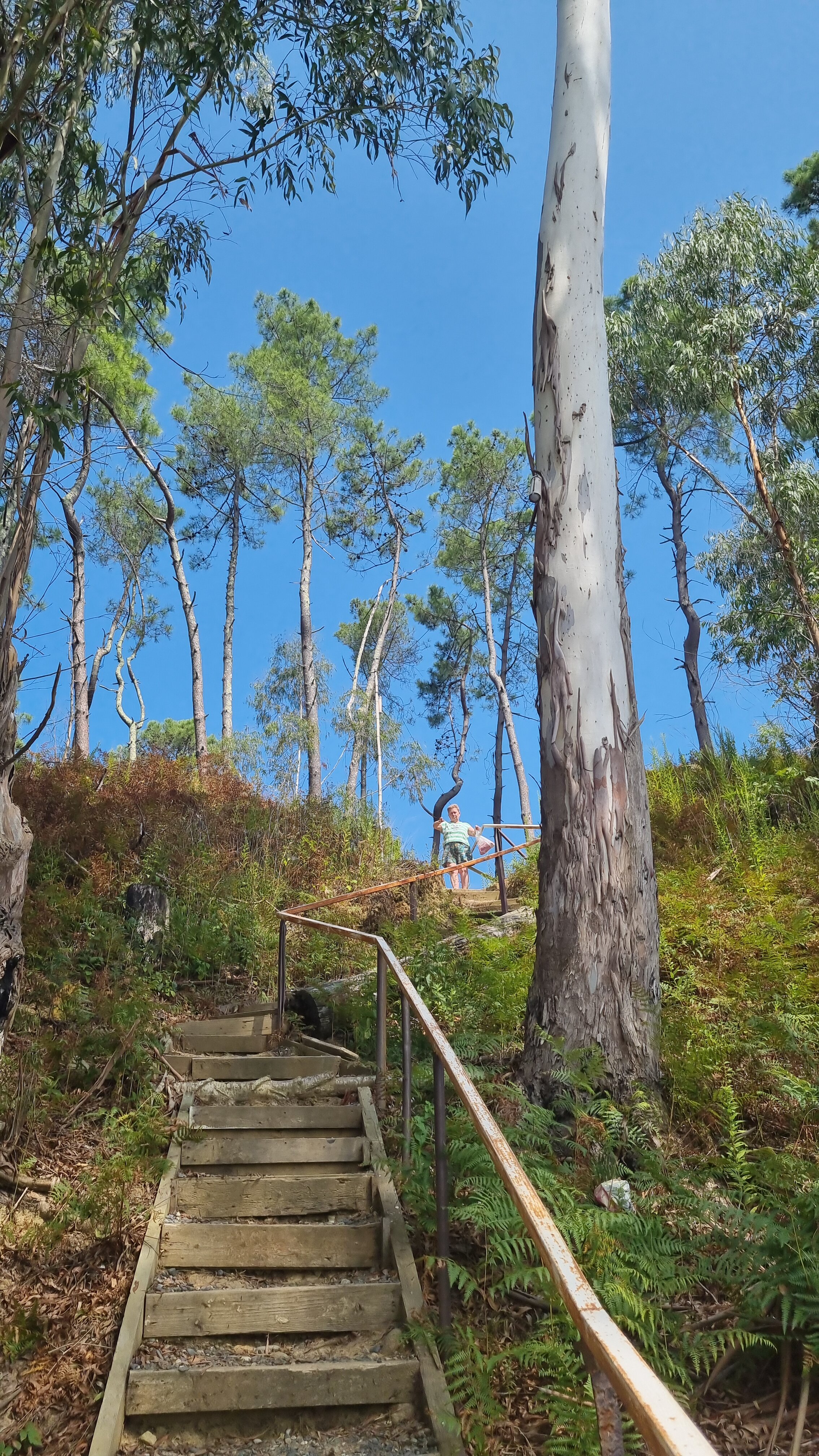 Фото Чапагуа