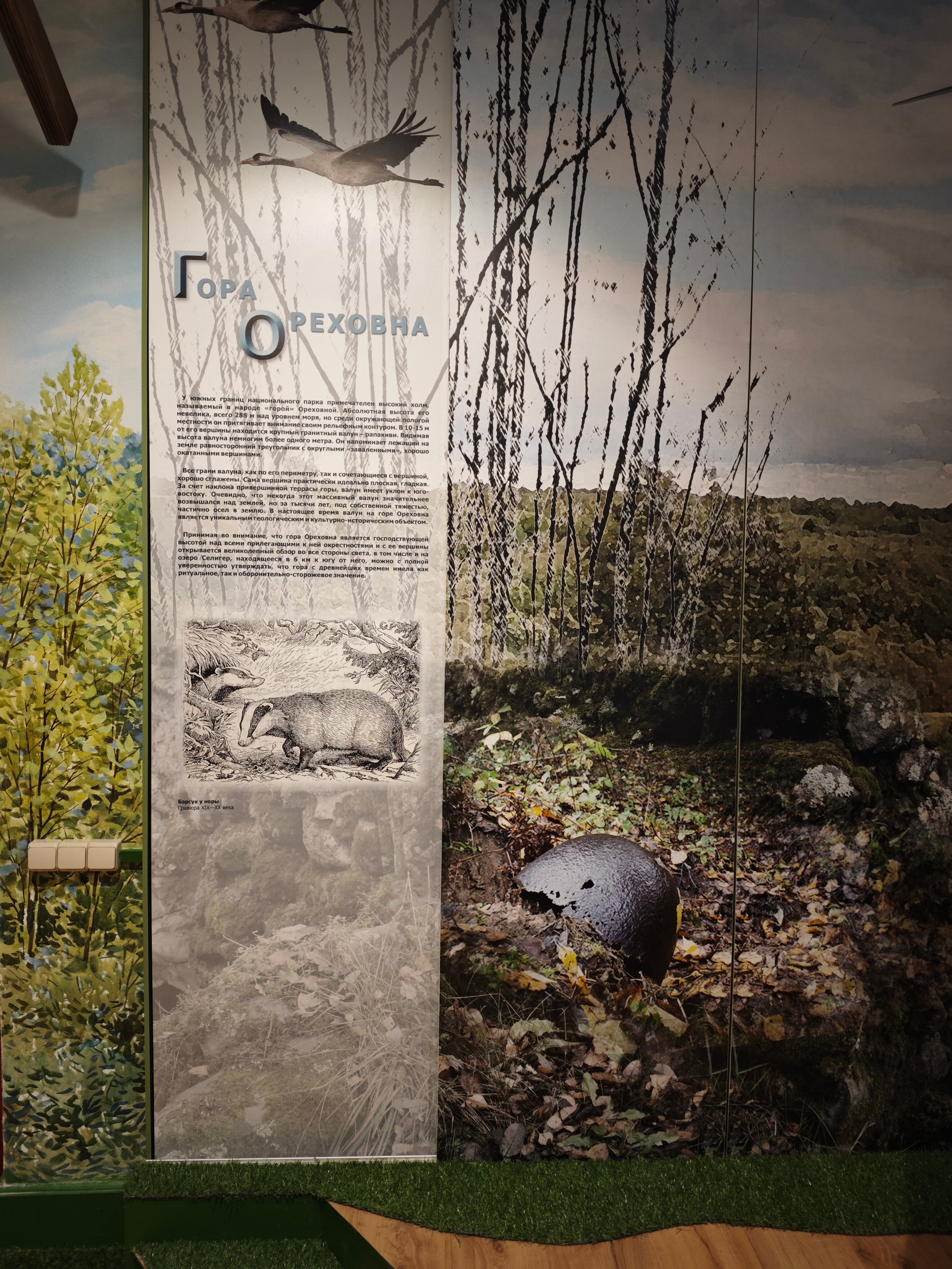 Фото Гостиница Национального парка Валдайский