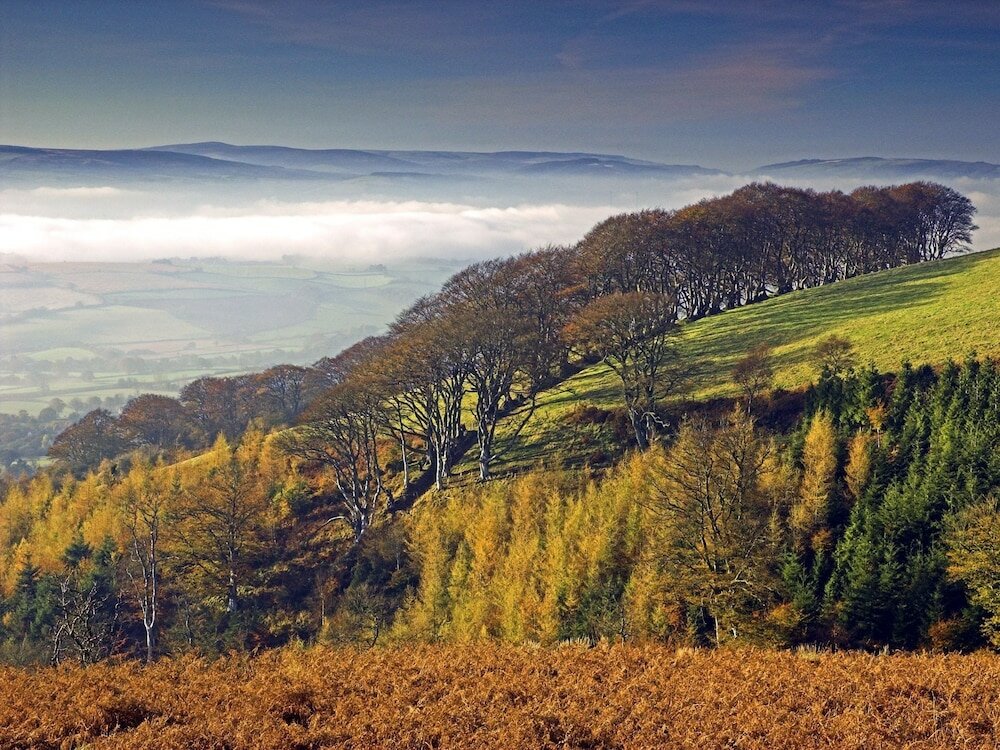 Фото The Hood Arms