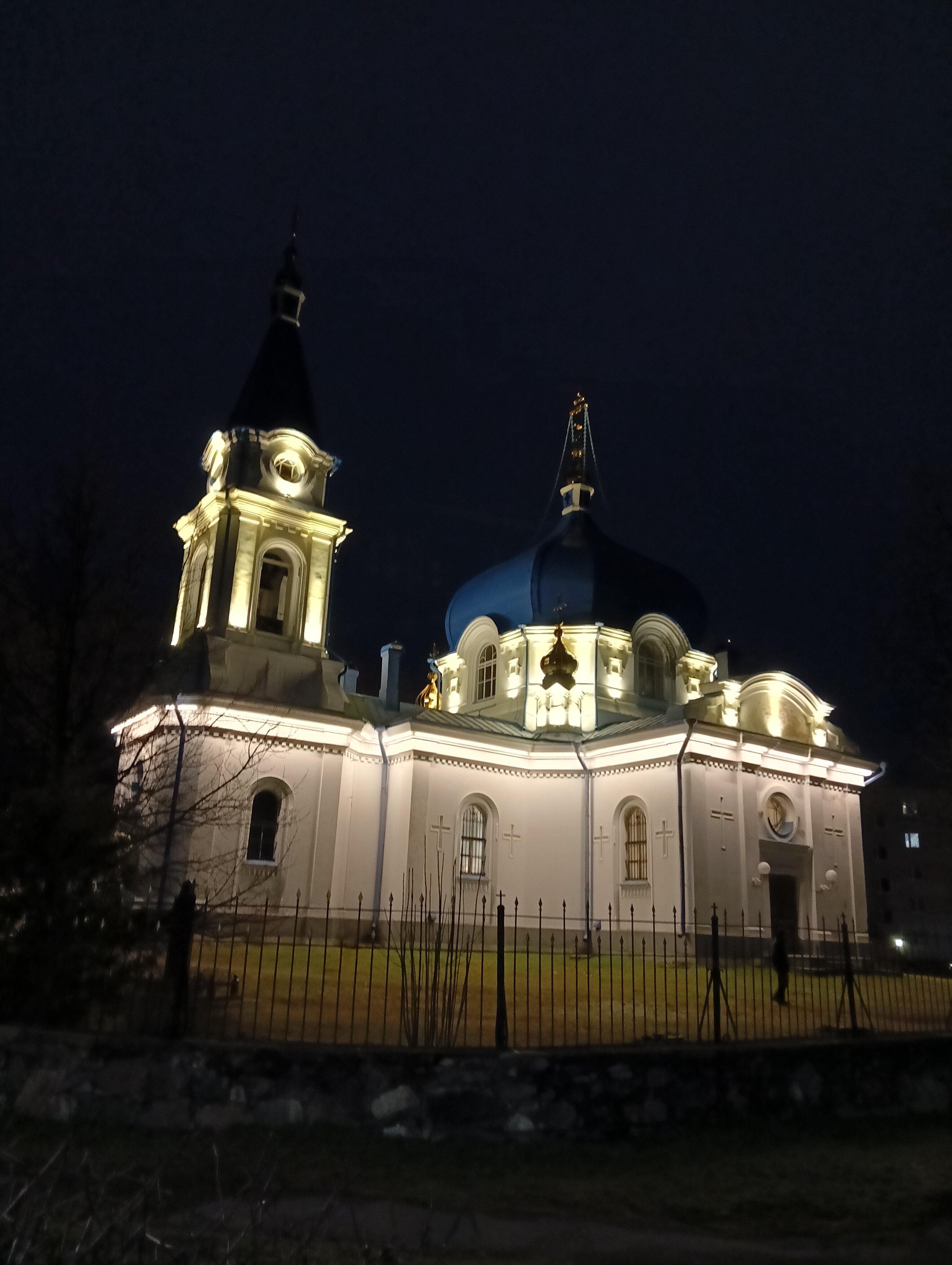 Фото Северный олень