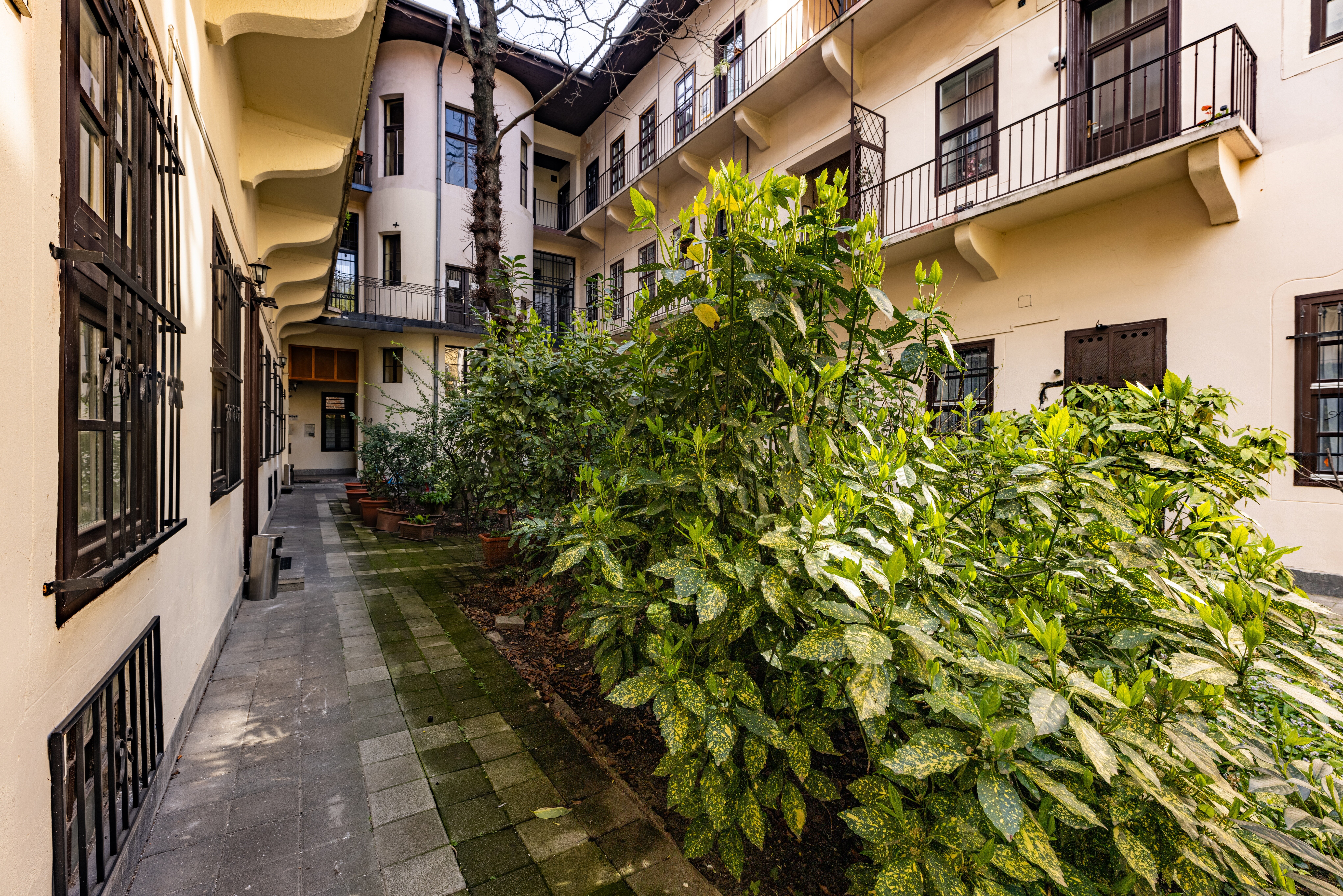 Фото Amber Gardenview Studios