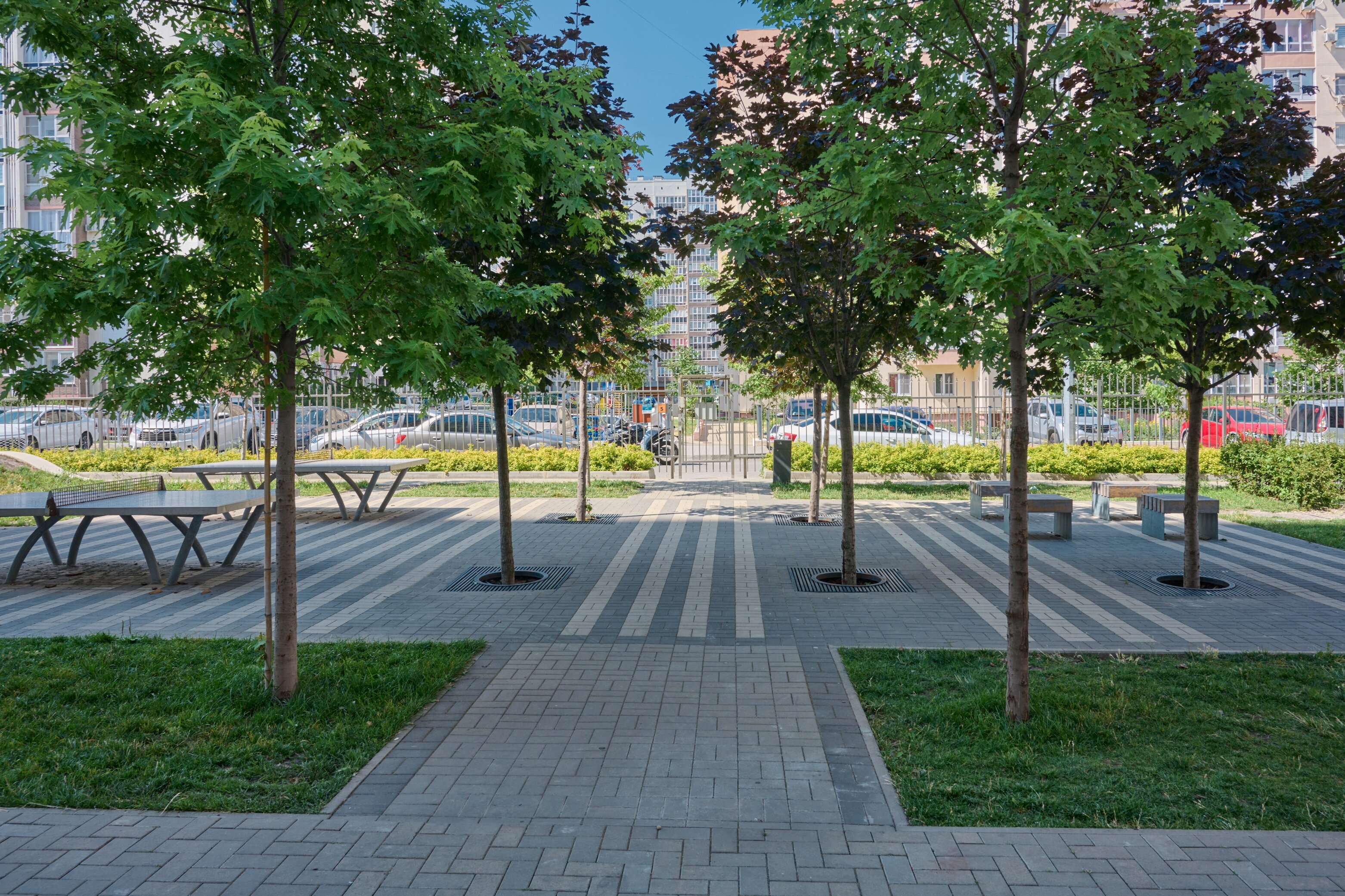 Фото Максимум