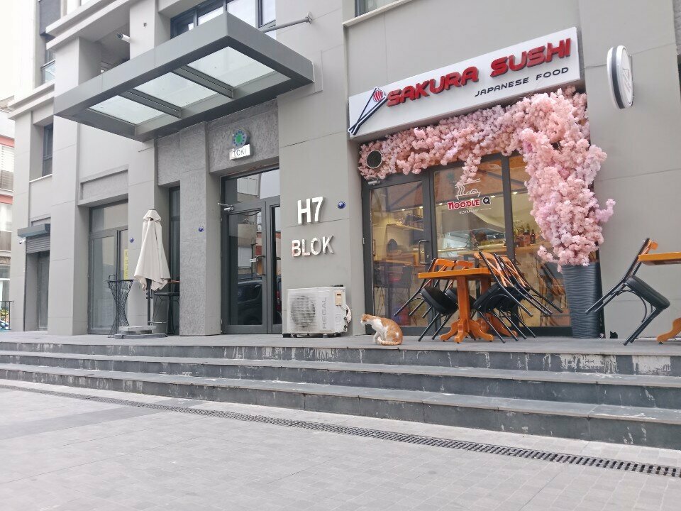 Sushi bar Sakura Sushi Izmir, Izmir, photo