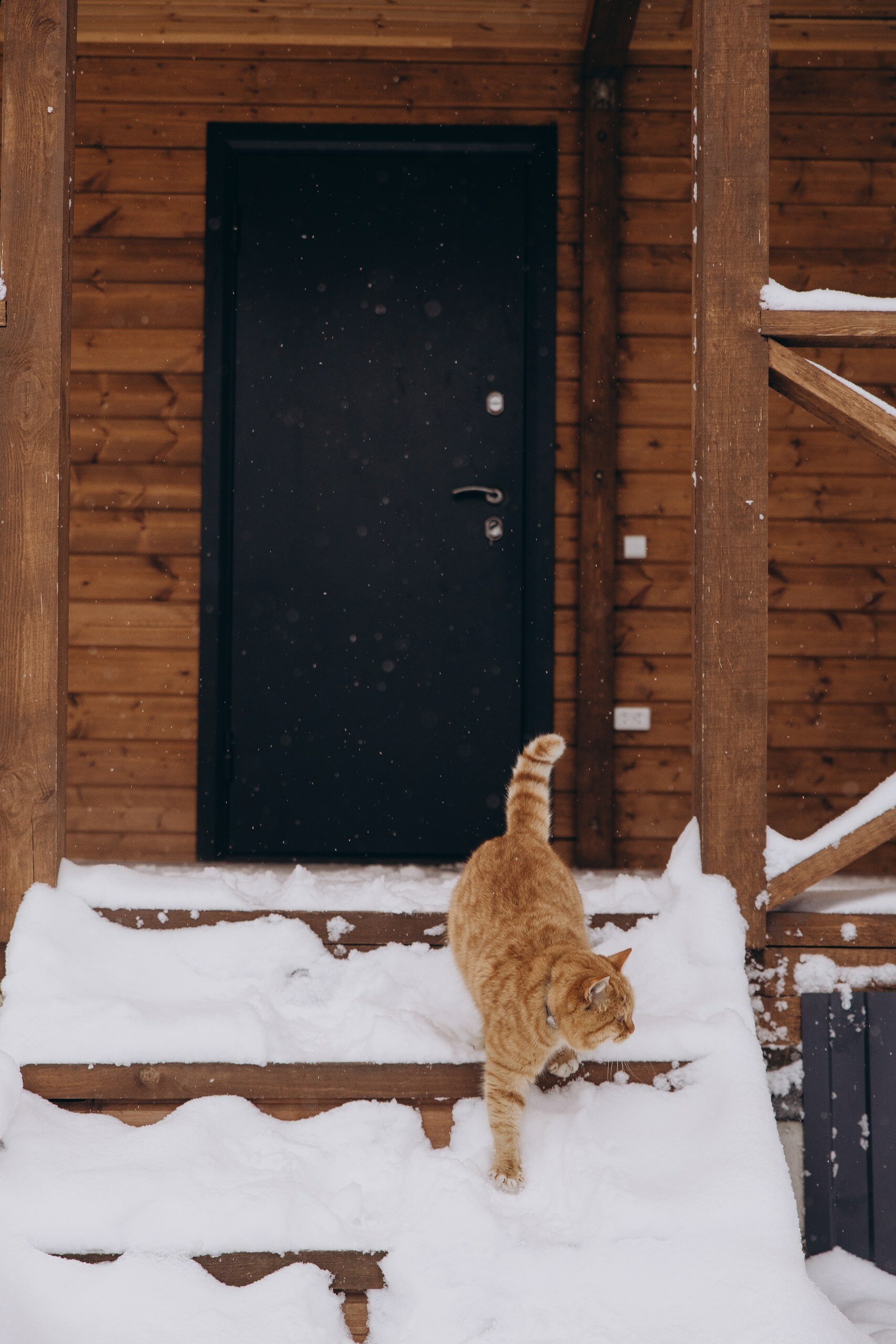 Фото Дом с душой