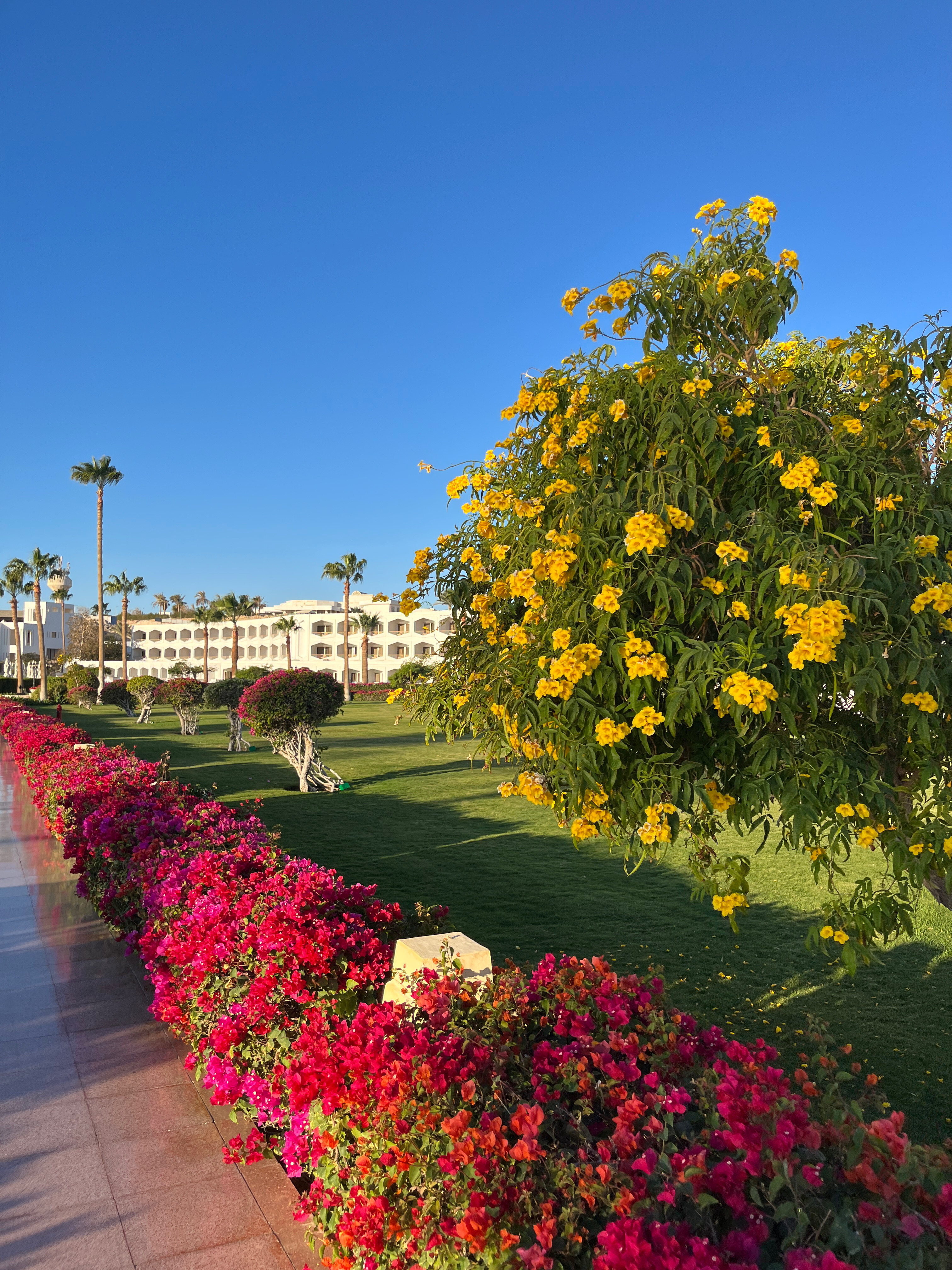 Фото Baron Resort Sharm El Sheikh