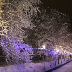 Гостиница Клен