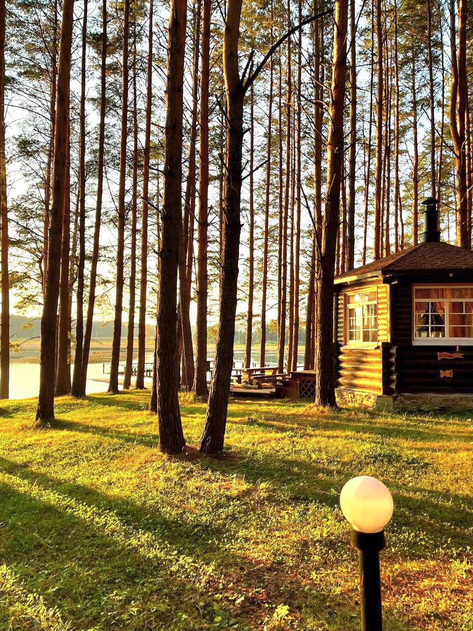 Фото Светофор