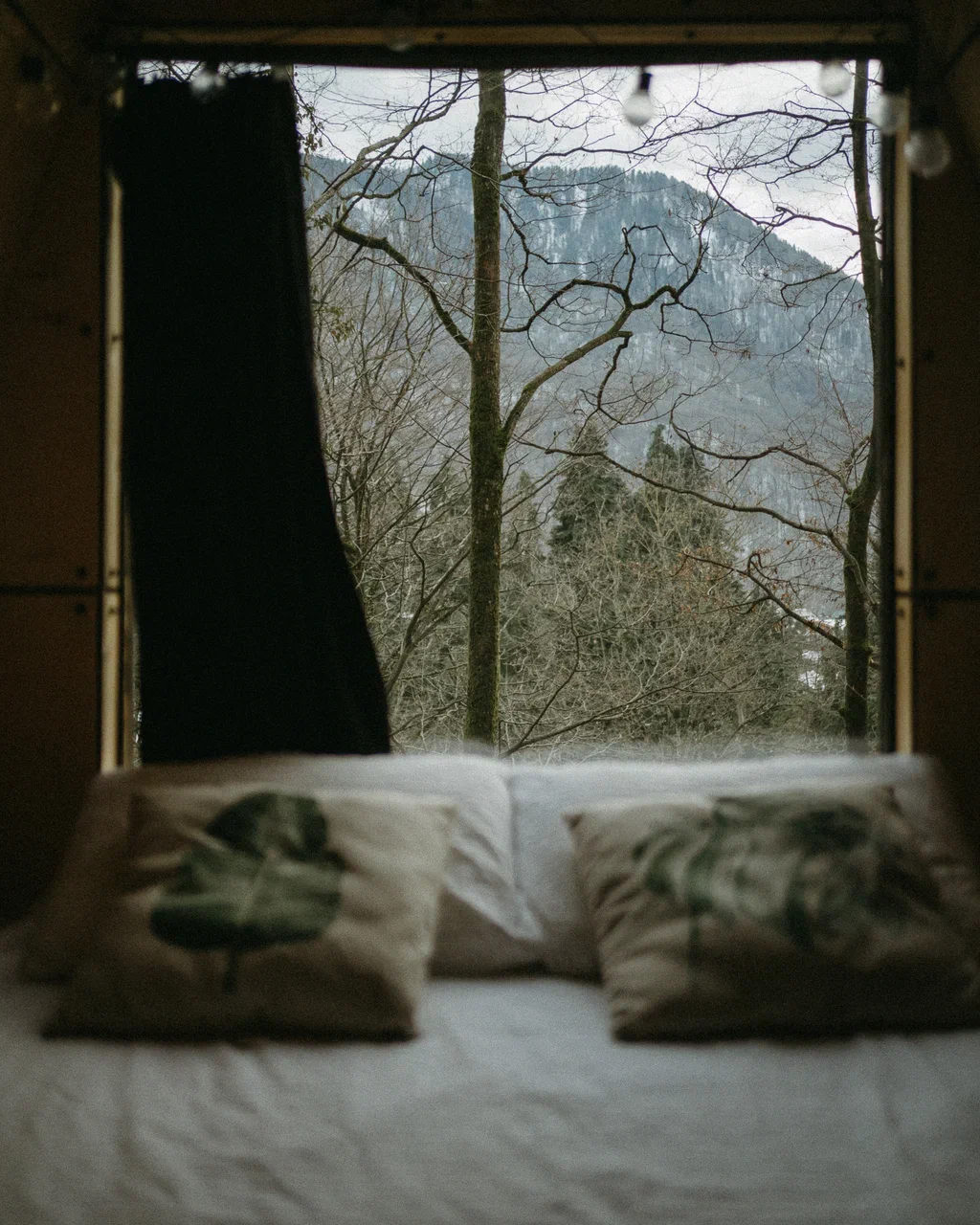 Фото Polyana House