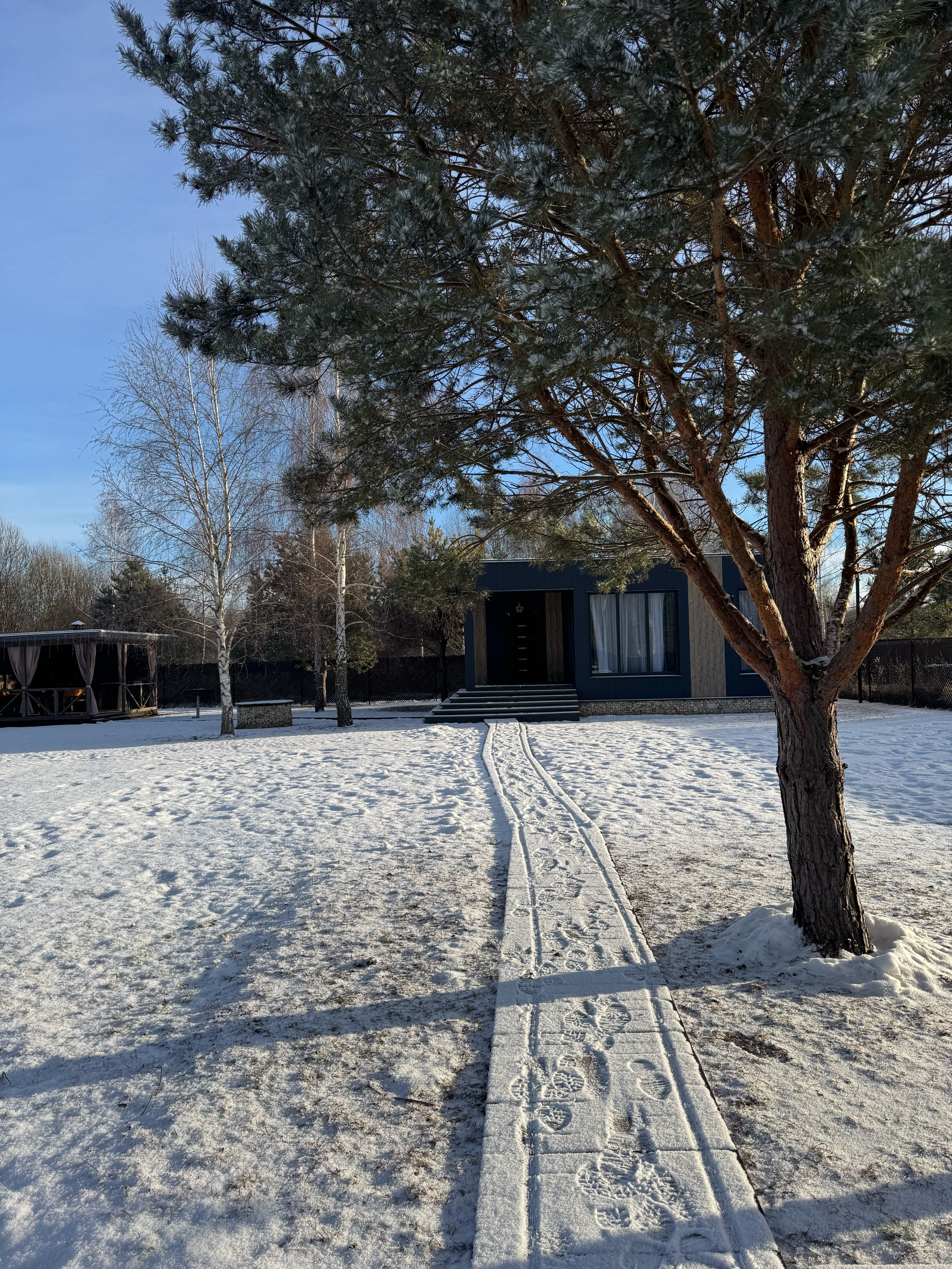 Фото Сканди куб