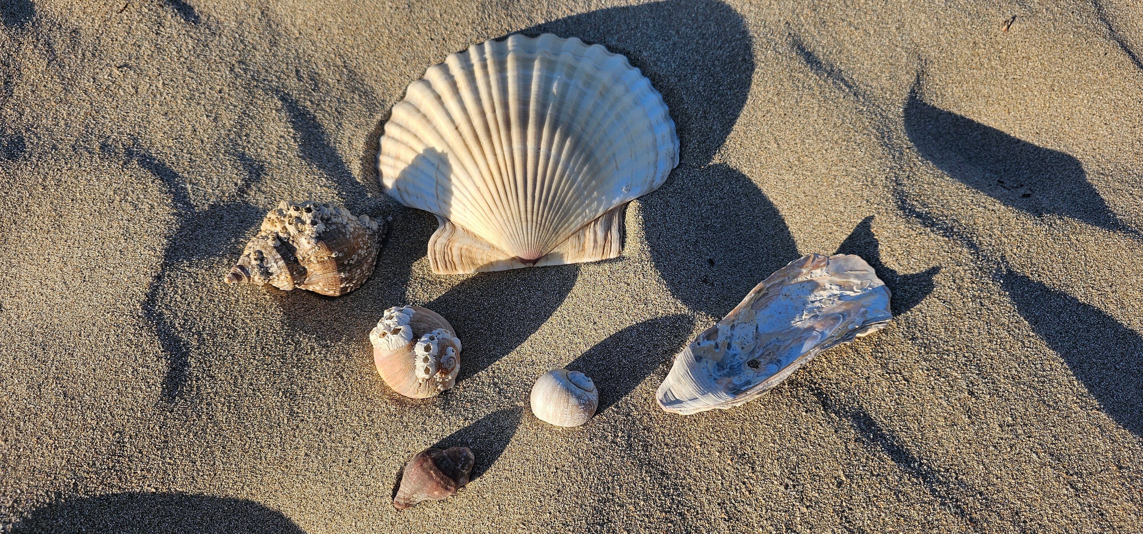 Фото Green Island